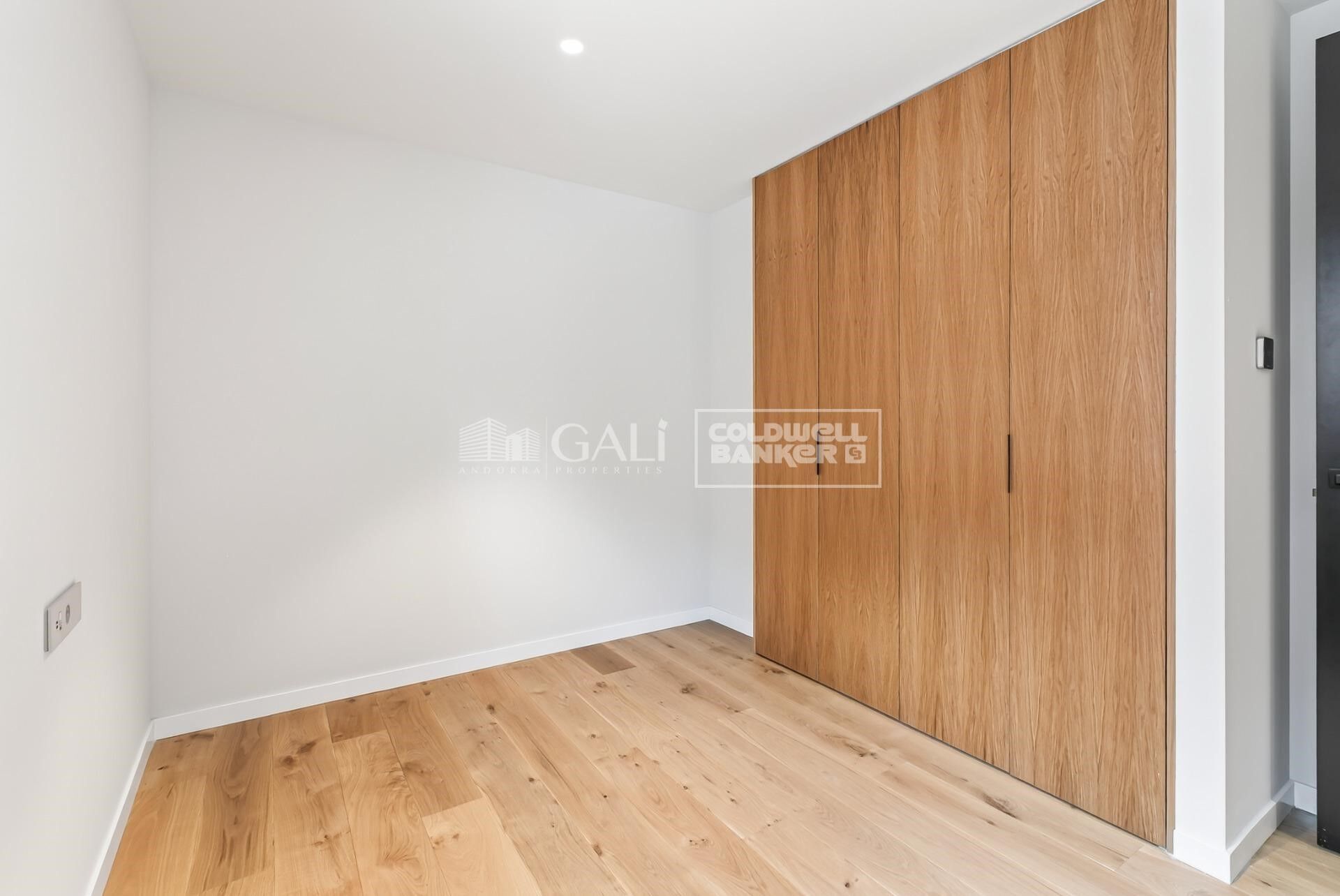 Apartment 4 Bedrooms Rent Canillo