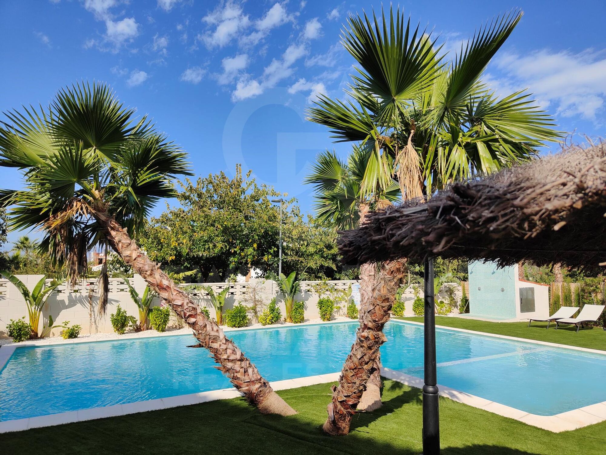 Exklusive Einzimmerwohnung mit Terrasse in La Siesta | Dénia - Phase 2