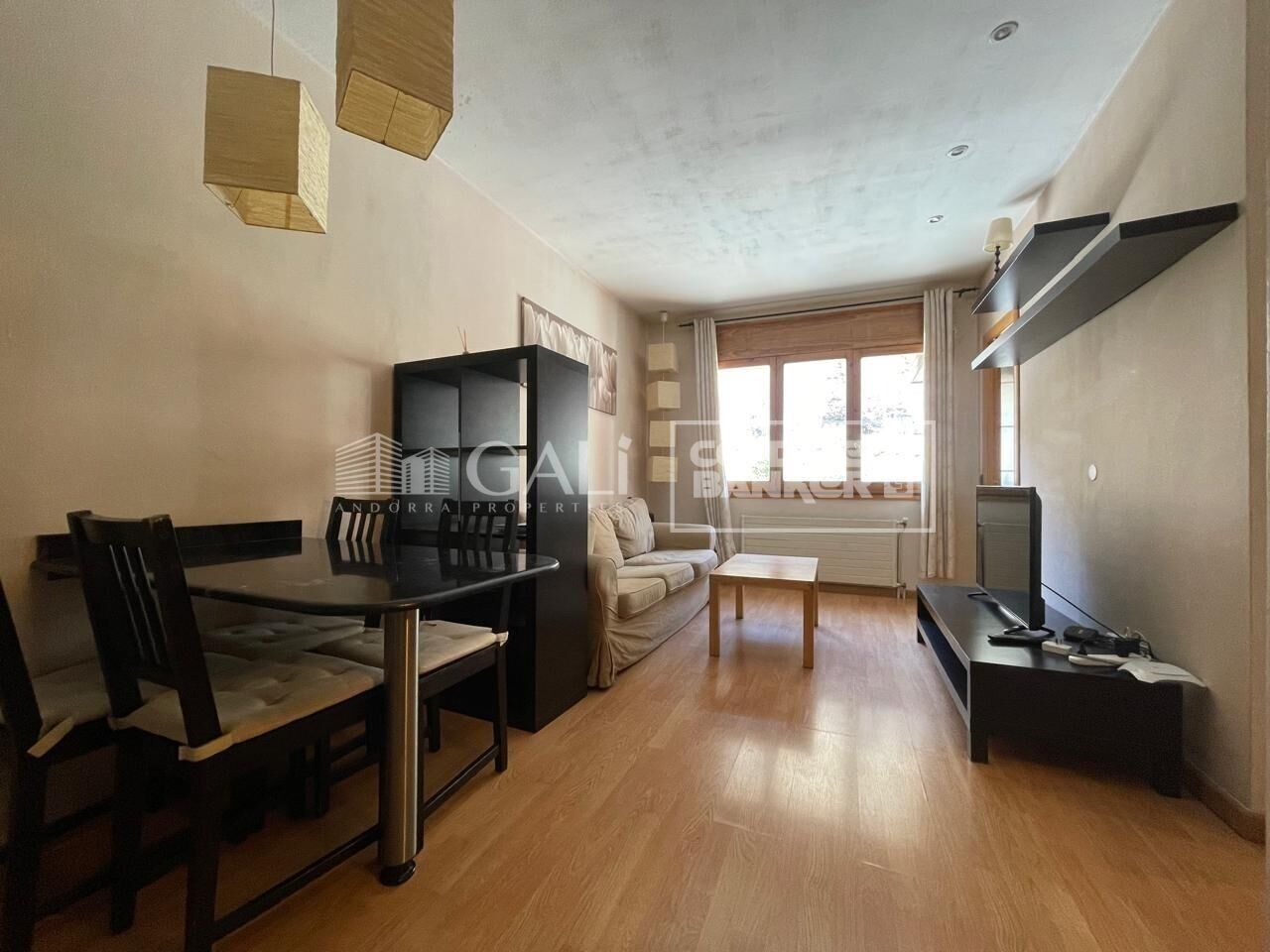 Apartment 1 Bedroom Sale Canillo