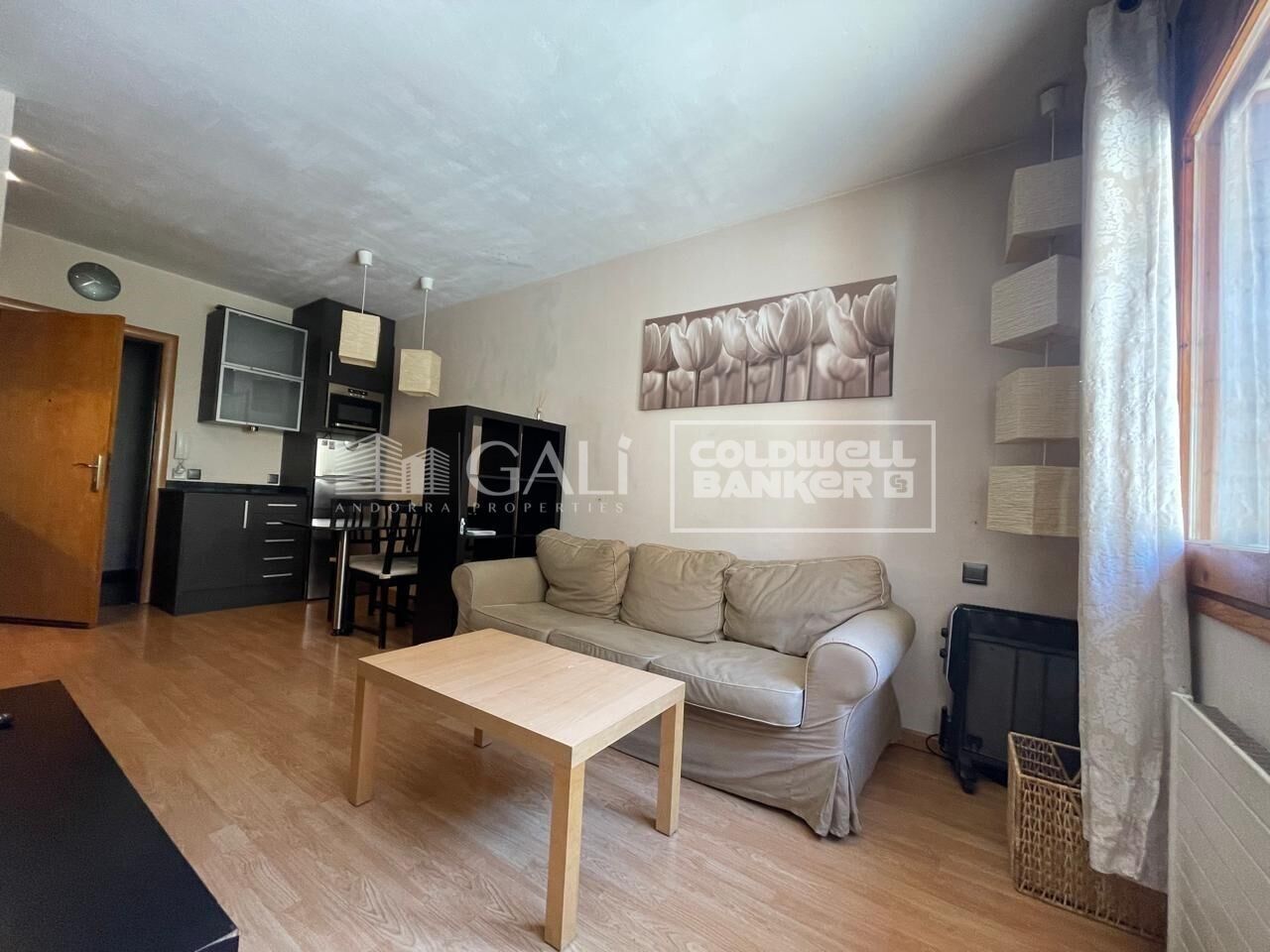 Apartment 1 Bedroom Sale Canillo