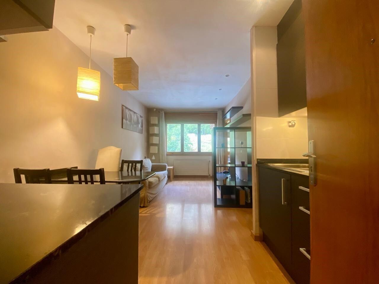 Apartment 1 Bedroom Sale Canillo