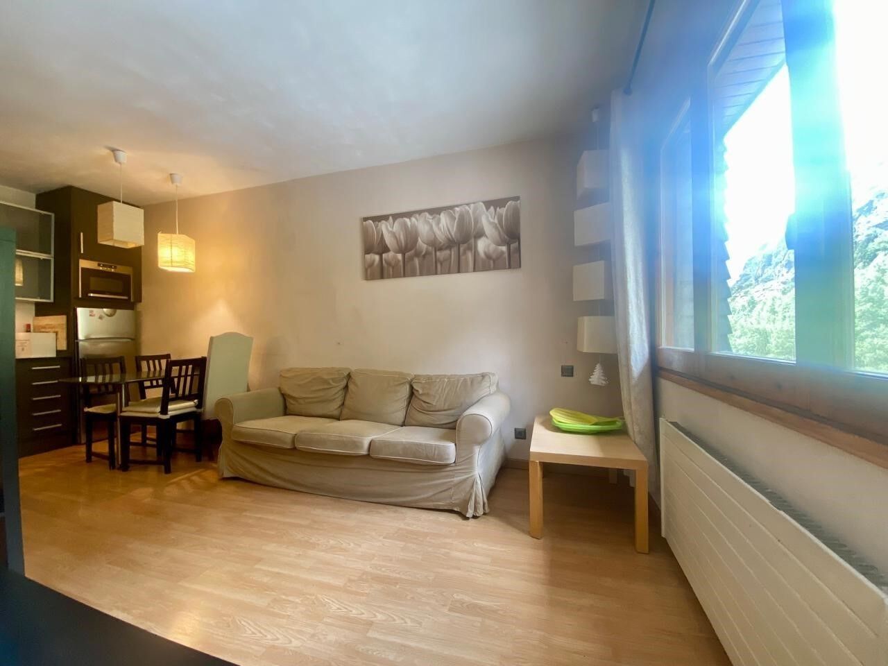 Apartment 1 Bedroom Sale Canillo