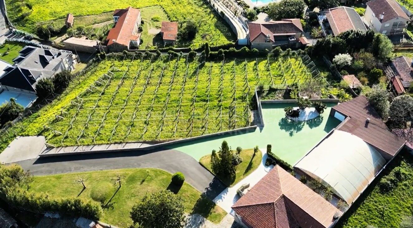 Luxury Mansion in Sanxenxo, Spain with Private Vineyard