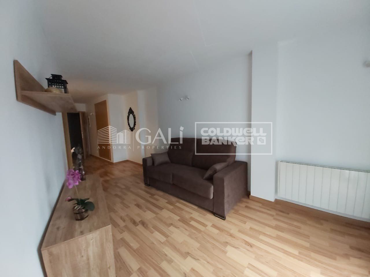 Apartment 1 Schlafzimmer Vermietung Encamp