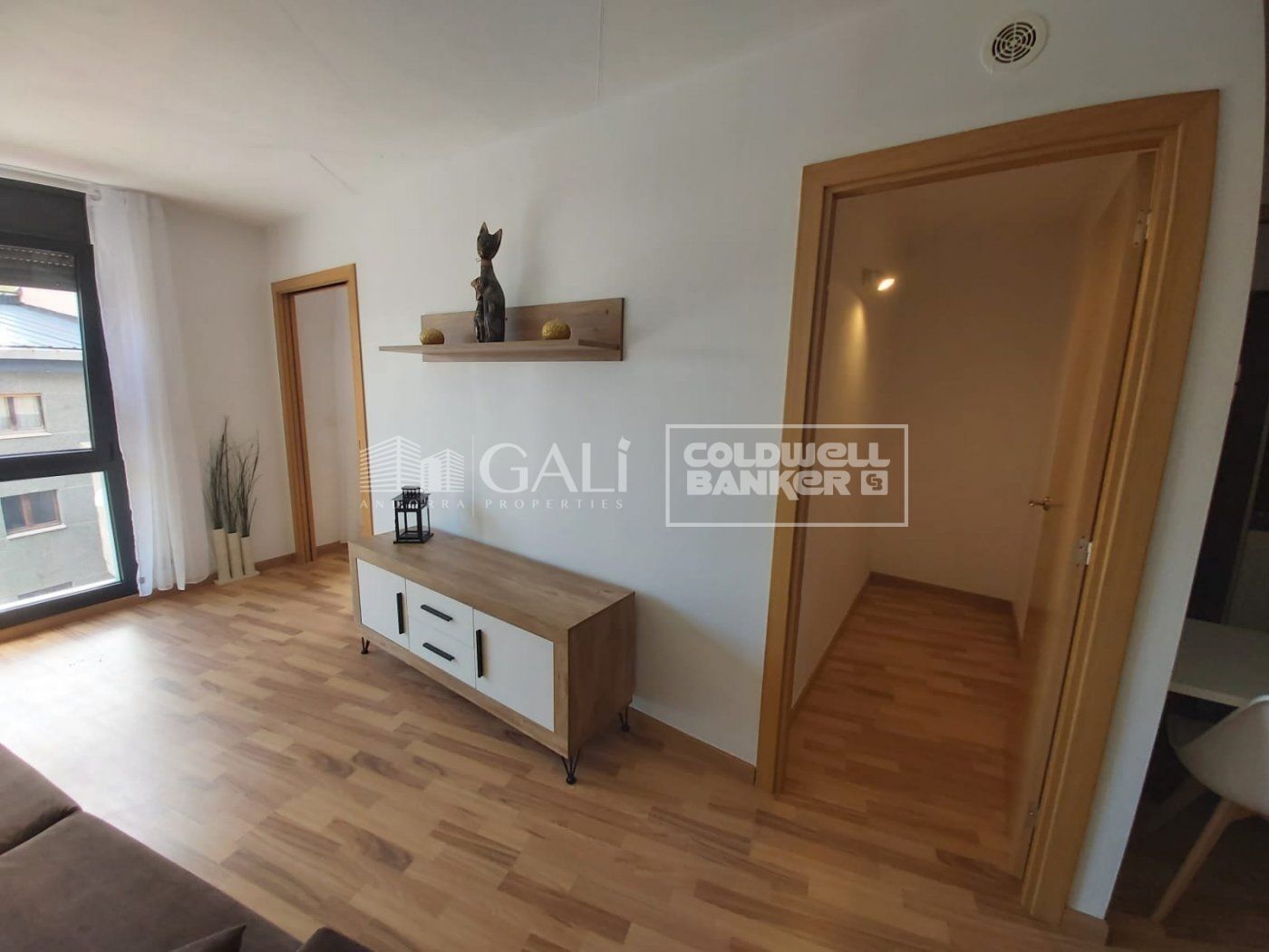 Apartment 1 Schlafzimmer Vermietung Encamp