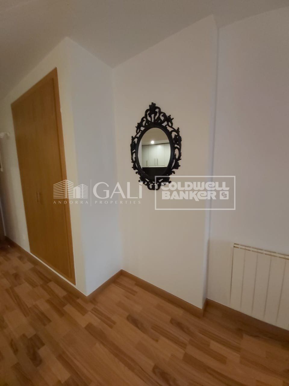 Apartment 1 Schlafzimmer Vermietung Encamp