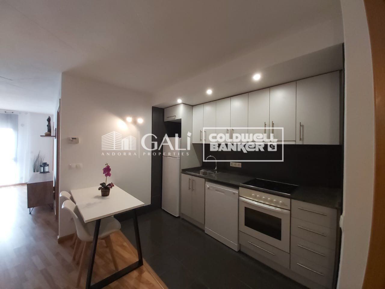 Apartamento 1 habitación Alquiler Encamp