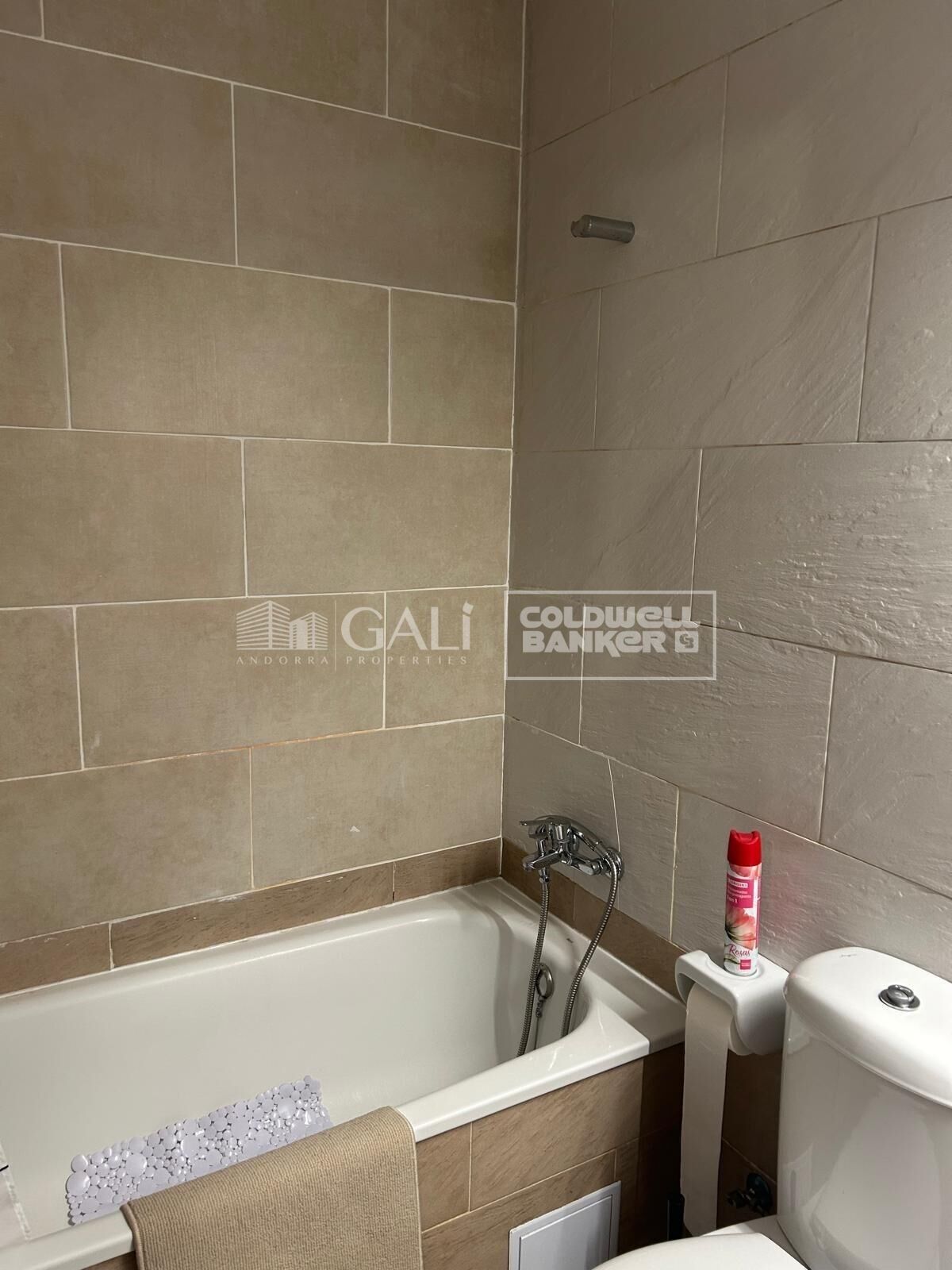 Ático 1 habitación Alquiler Canillo
