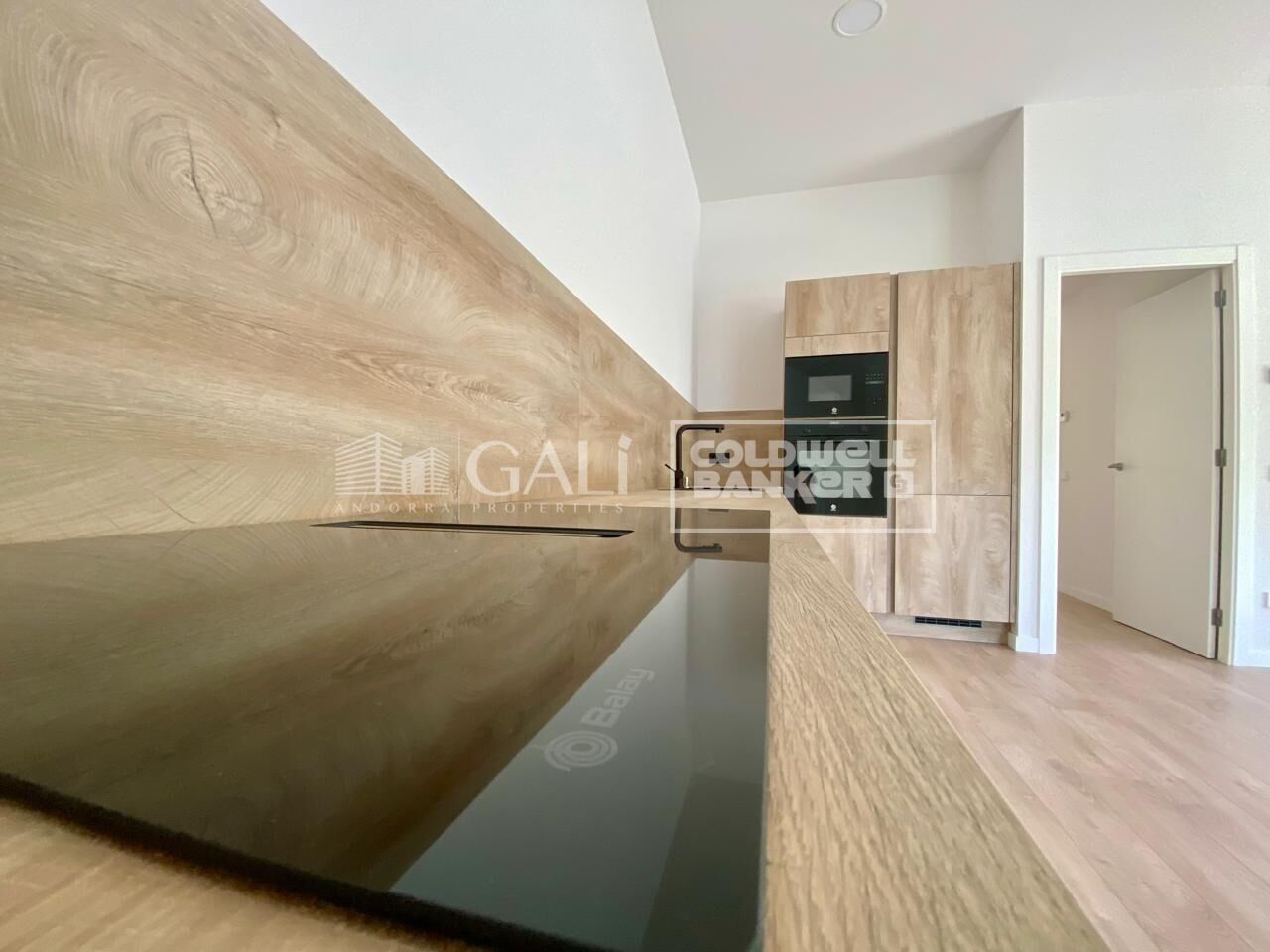 Penthouse 2 Bedrooms Rent Canillo