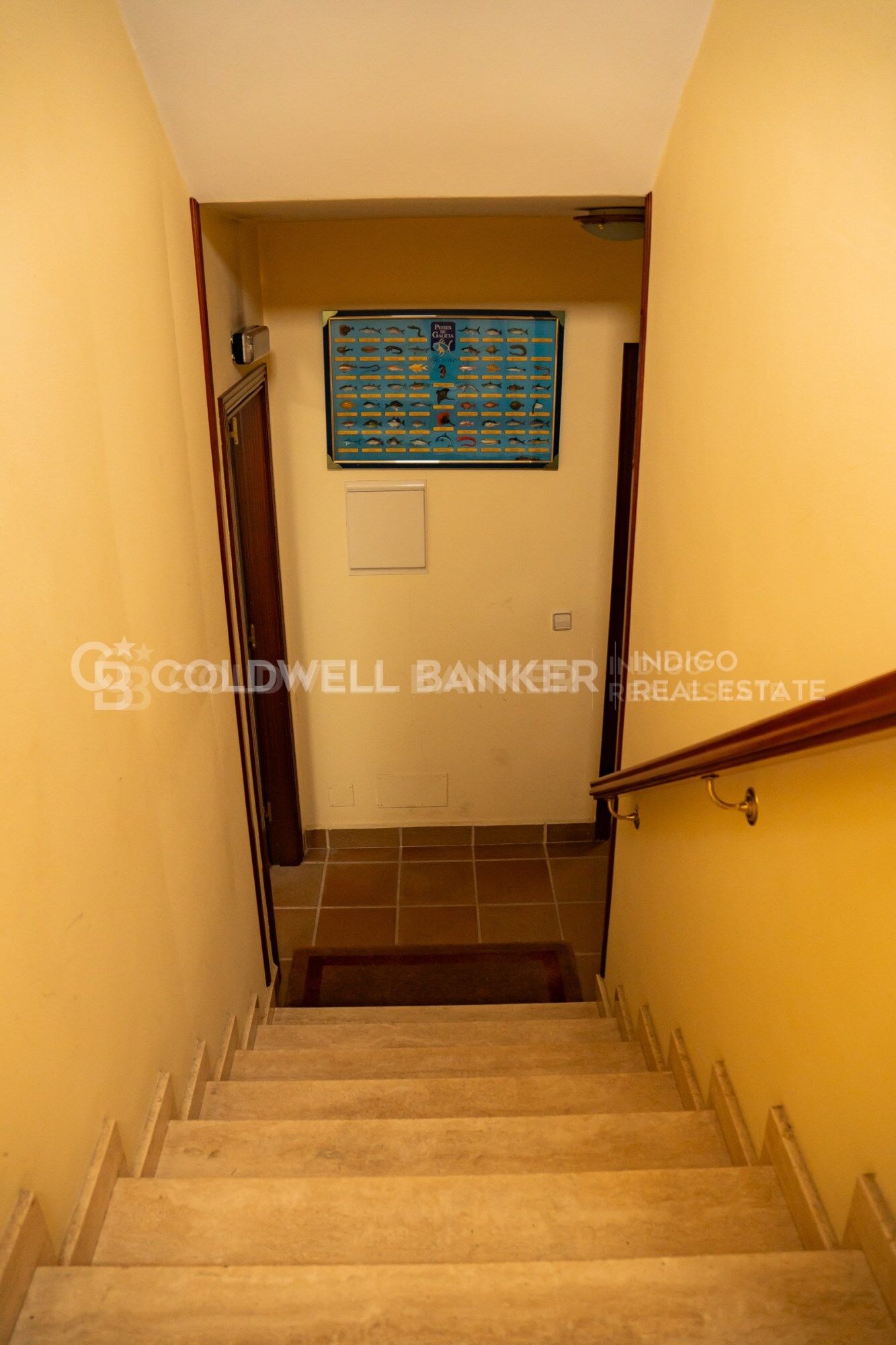 Chalet 5 Bedrooms Sale Vigo