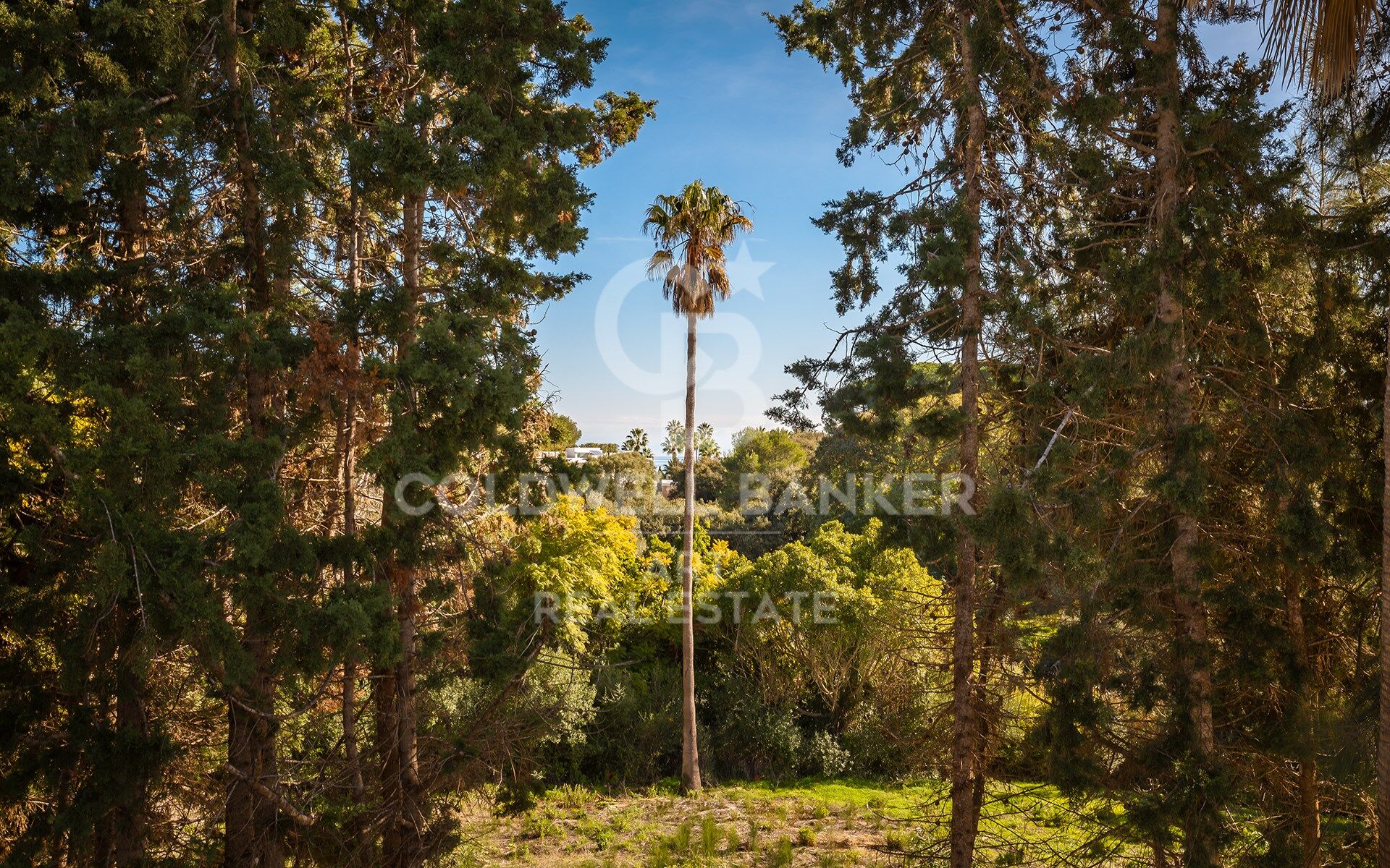 Spectaculaire résidence contemporaine située à Sotogrande Costa