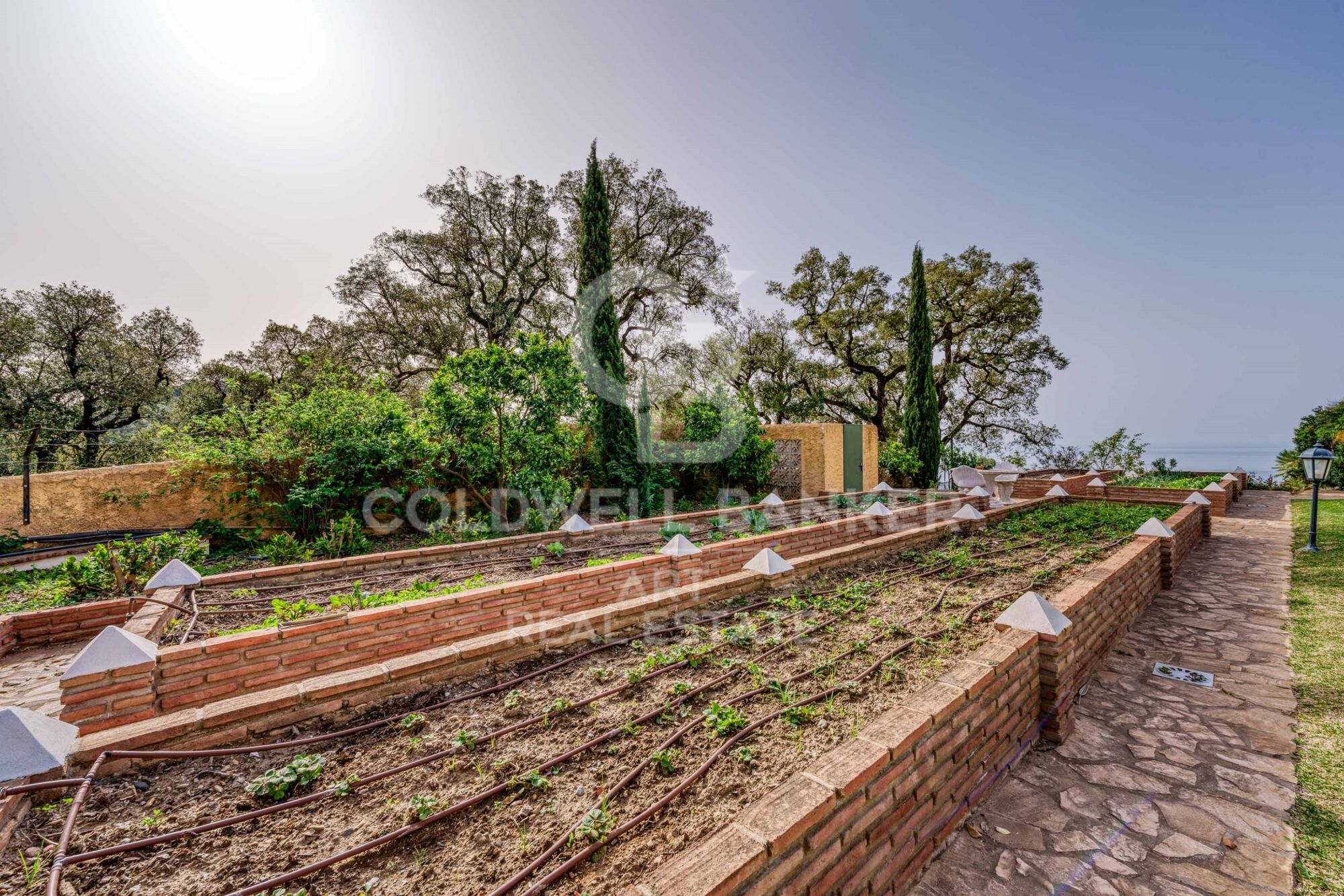 Finca de luxe avec vue panoramique sur la mer à La Mairena