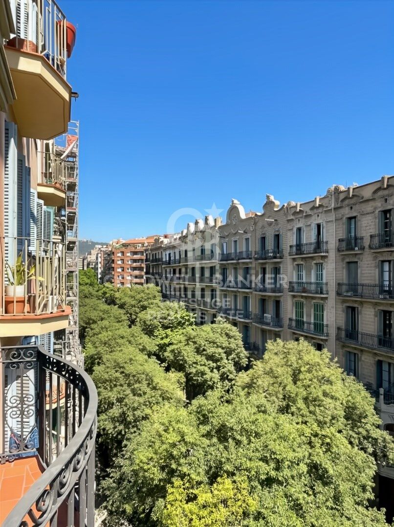 Appartement haut et lumineux entièrement rénové à Aribau/Rosellón