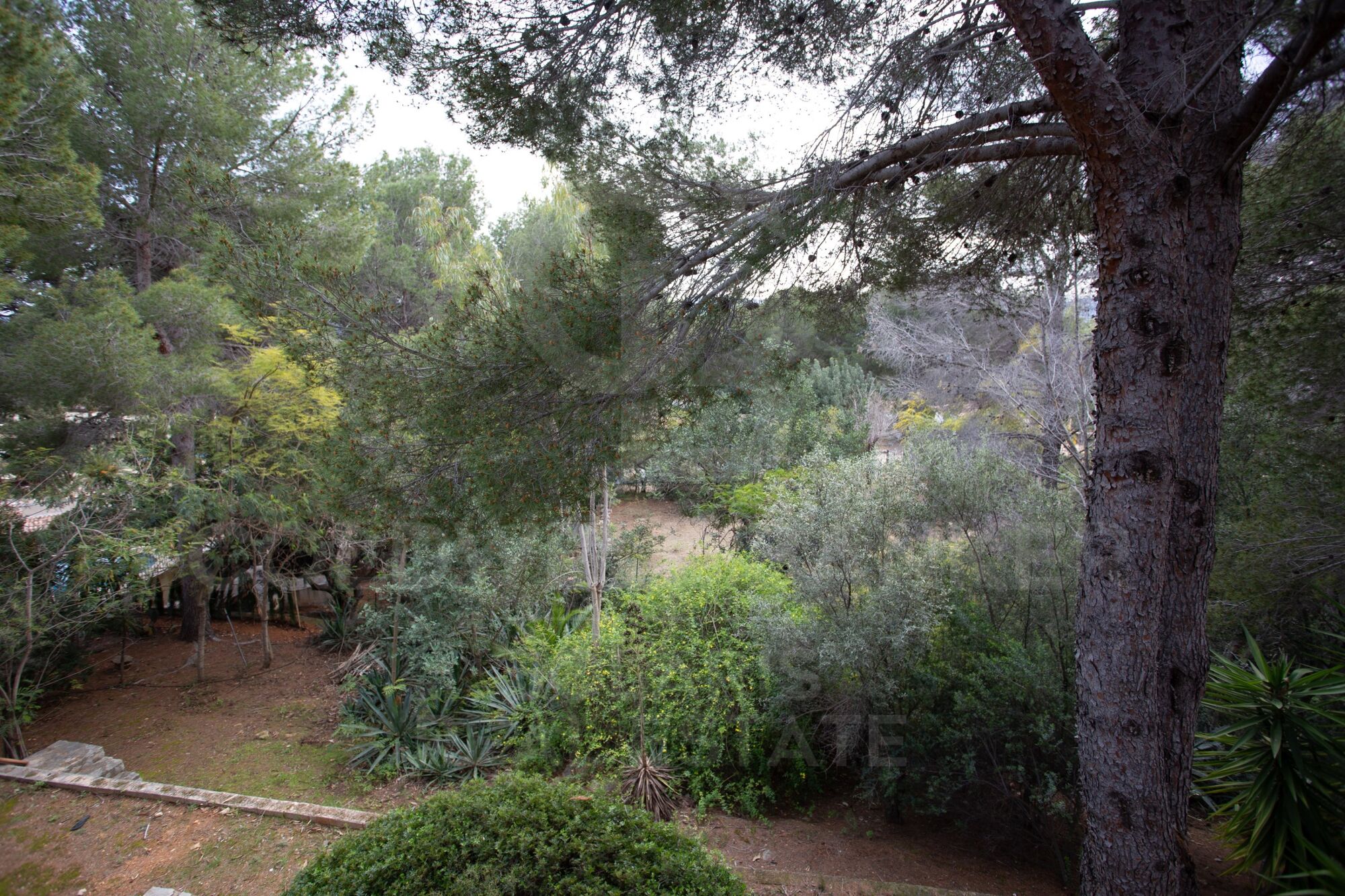 Encantadora villa en el Montgó con amplia parcela y potencial de ampliación