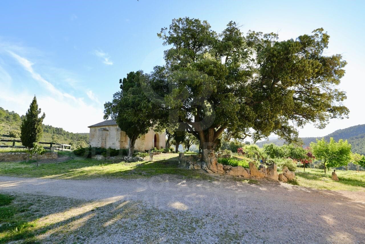 Petite Ferme 11 Pièces Acheter Bocairent