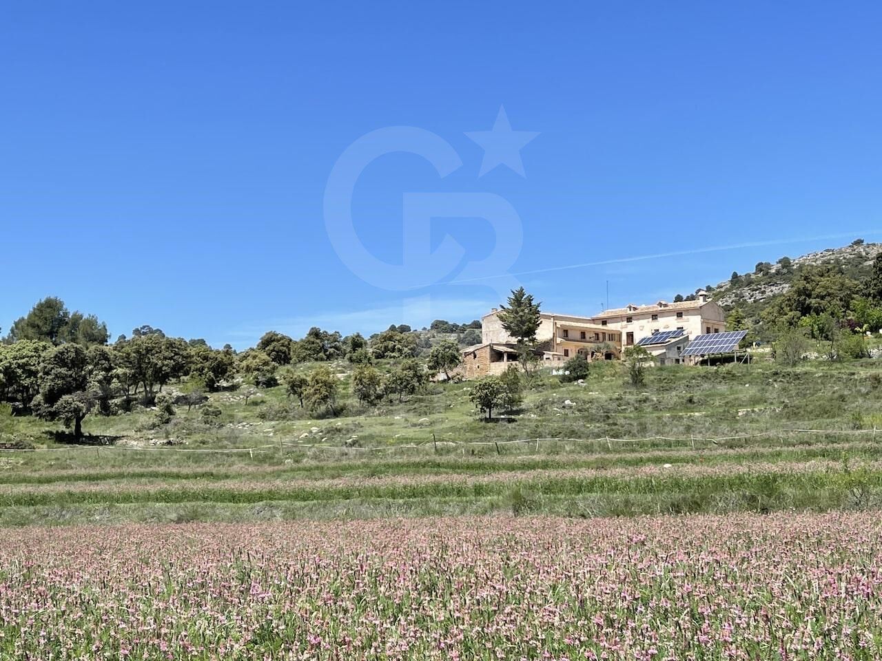 Petite Ferme 11 Pièces Acheter Bocairent