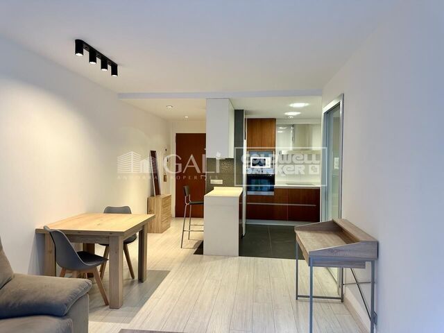 Apartment 1 Bedroom Rent Andorra la Vella