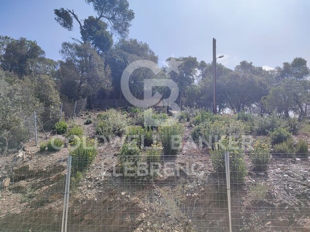 Large urban land for sale in Rectoret with project and approved license