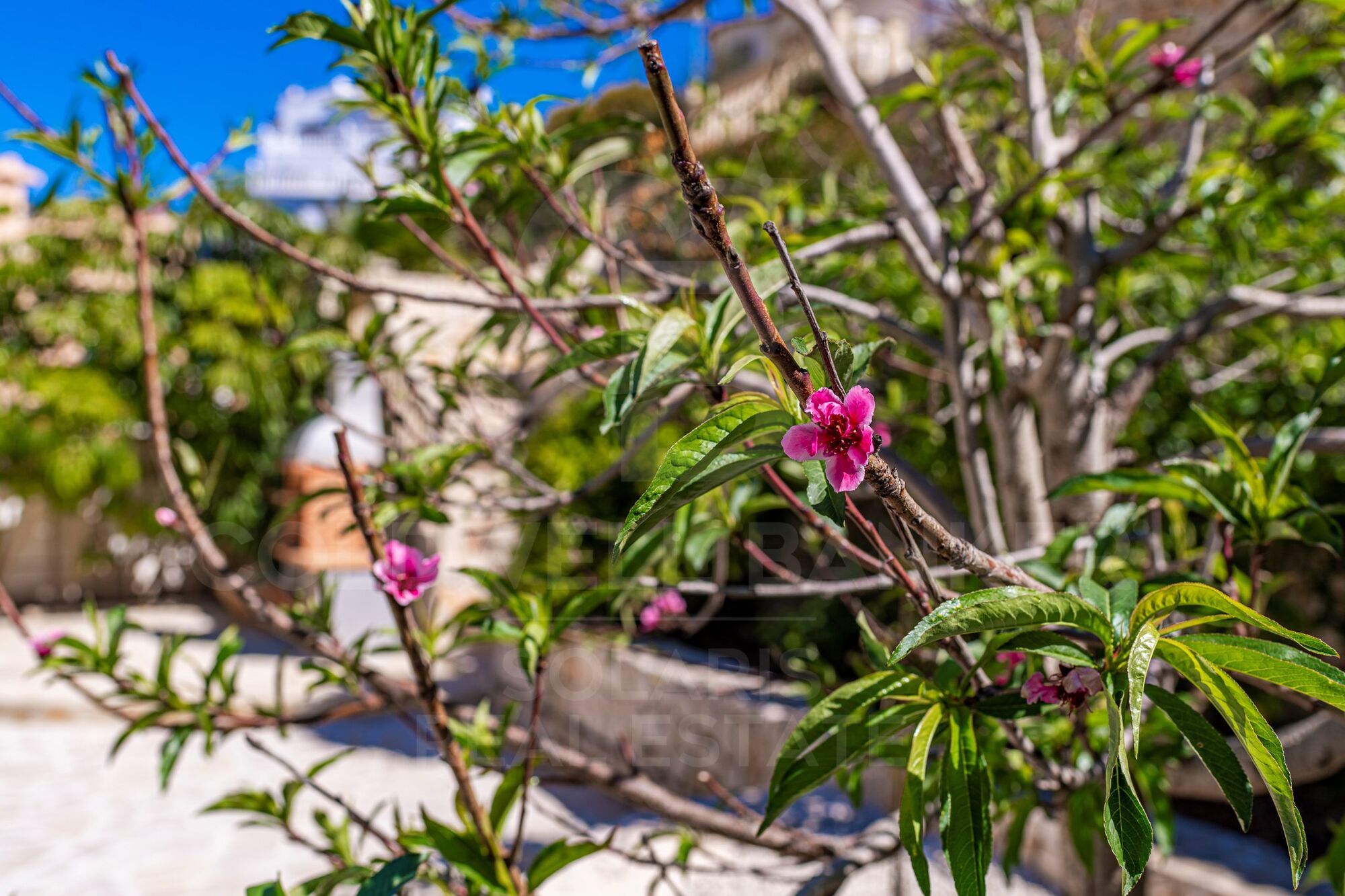 Extraordinary smart and completely renovated villa in Cumbre del Sol, Benitachell