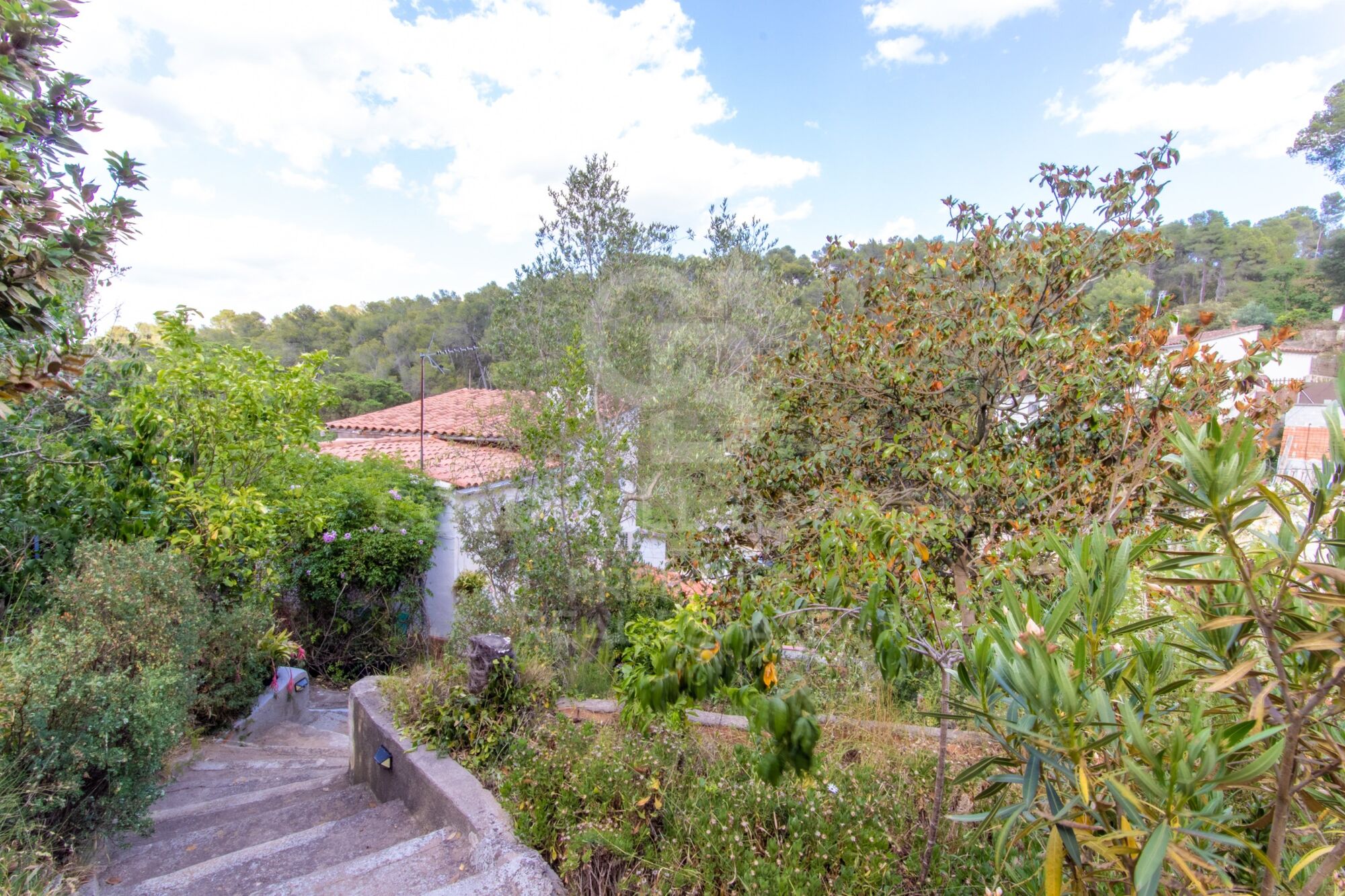 Charming house for two families