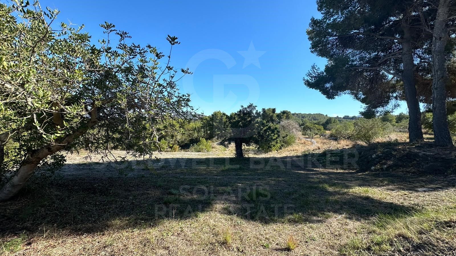 Parcela rústica de 11.600m² con vistas panorámicas al mar y al valle en Jávea