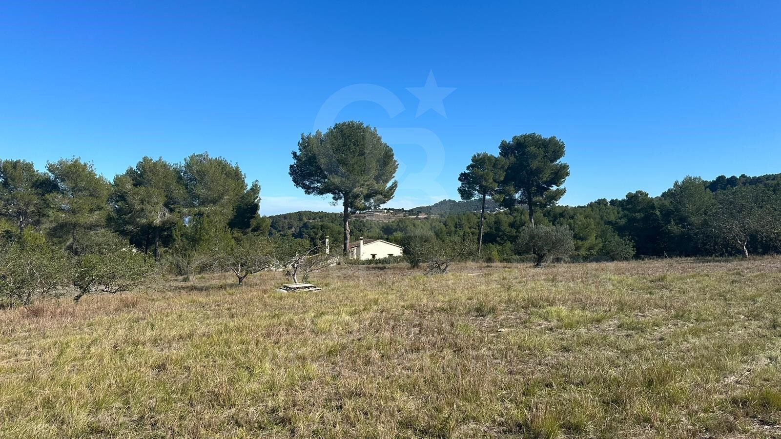 Rustic plot of 11,000m2 with panoramic views of the sea and the valley in Jávea
