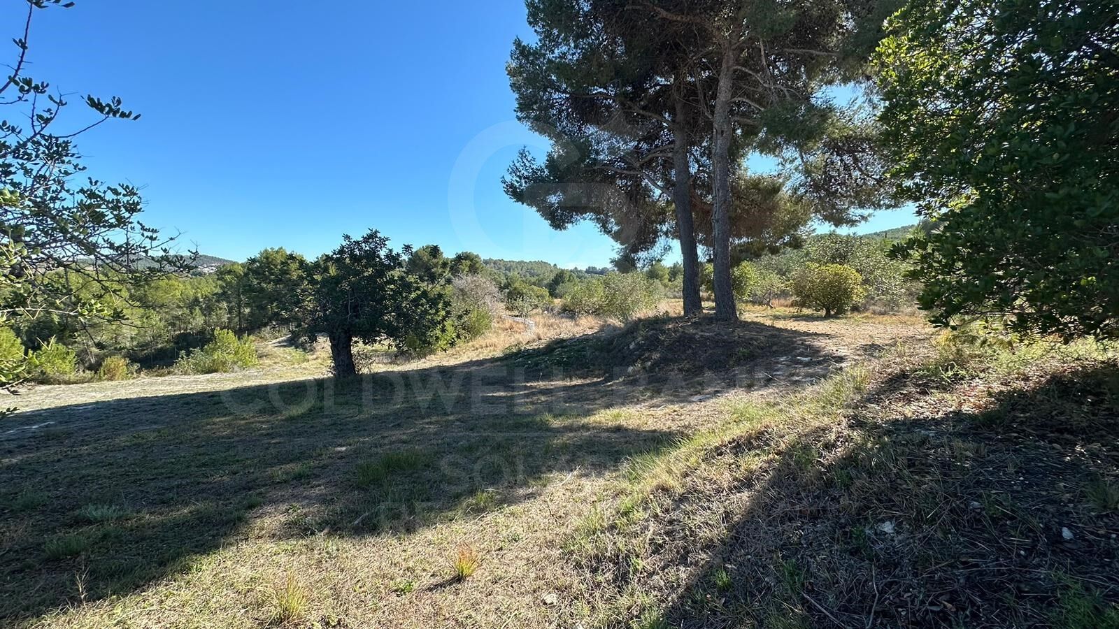 Rustikales Grundstück von 11.000m2 mit Panoramablick auf das Meer und das Tal in Jávea