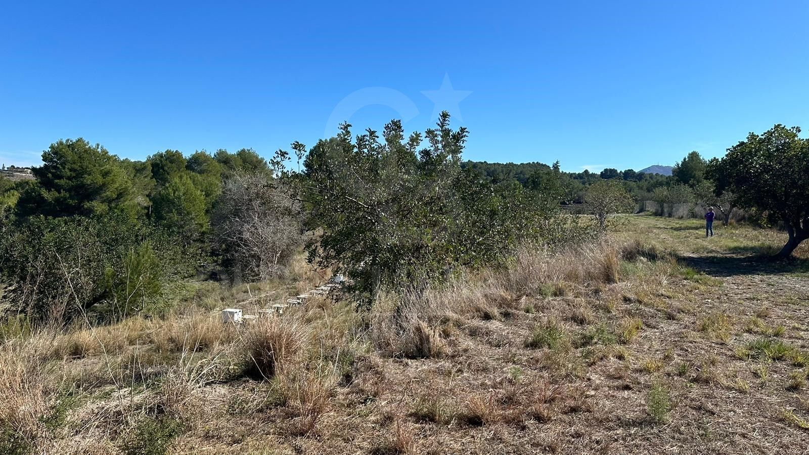 Parcela rústica de 11.600m² con vistas panorámicas al mar y al valle en Jávea