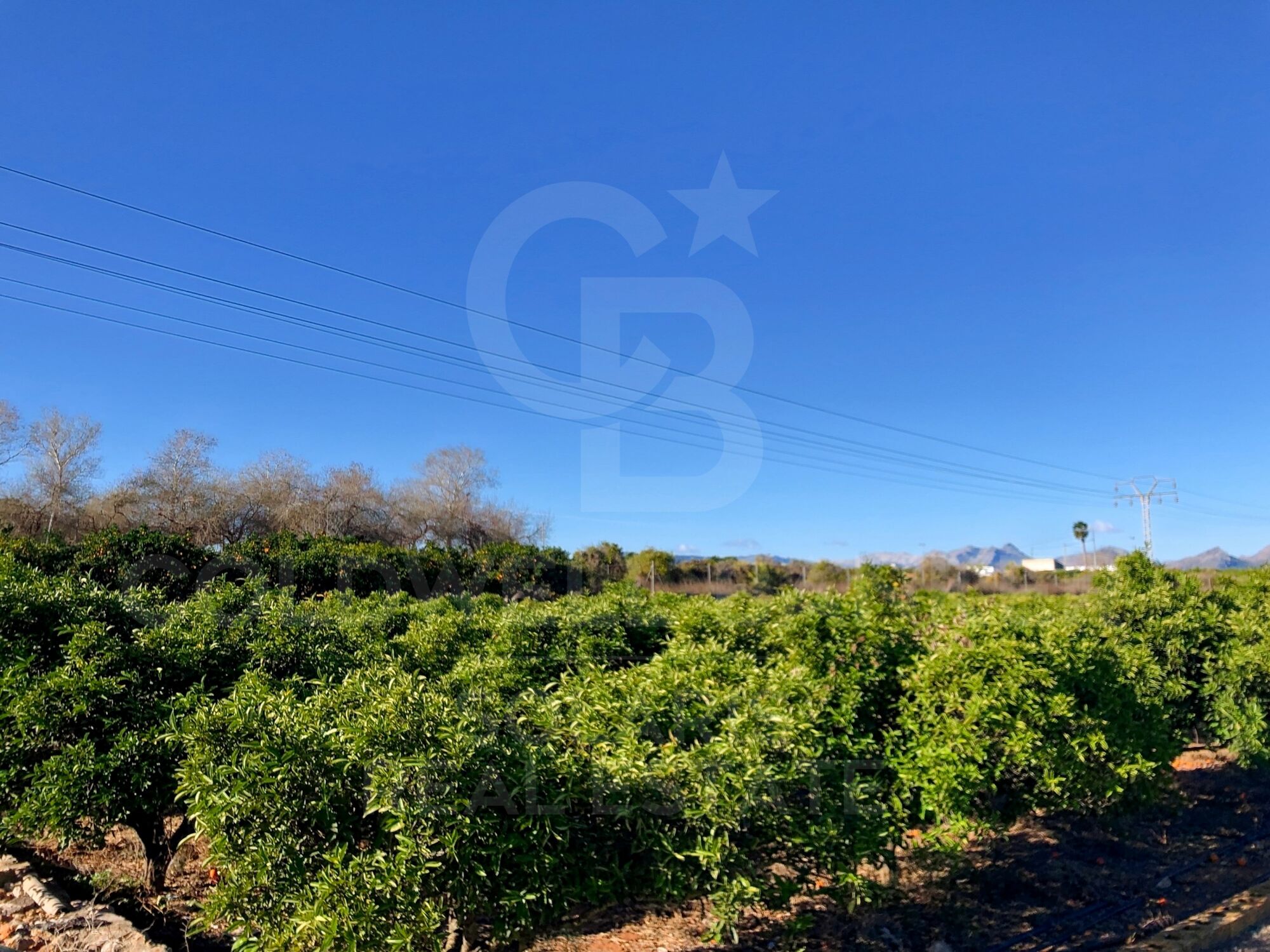 Conjunto de parcelas con pozo de gran caudal en La Xara / Jesús Pobre