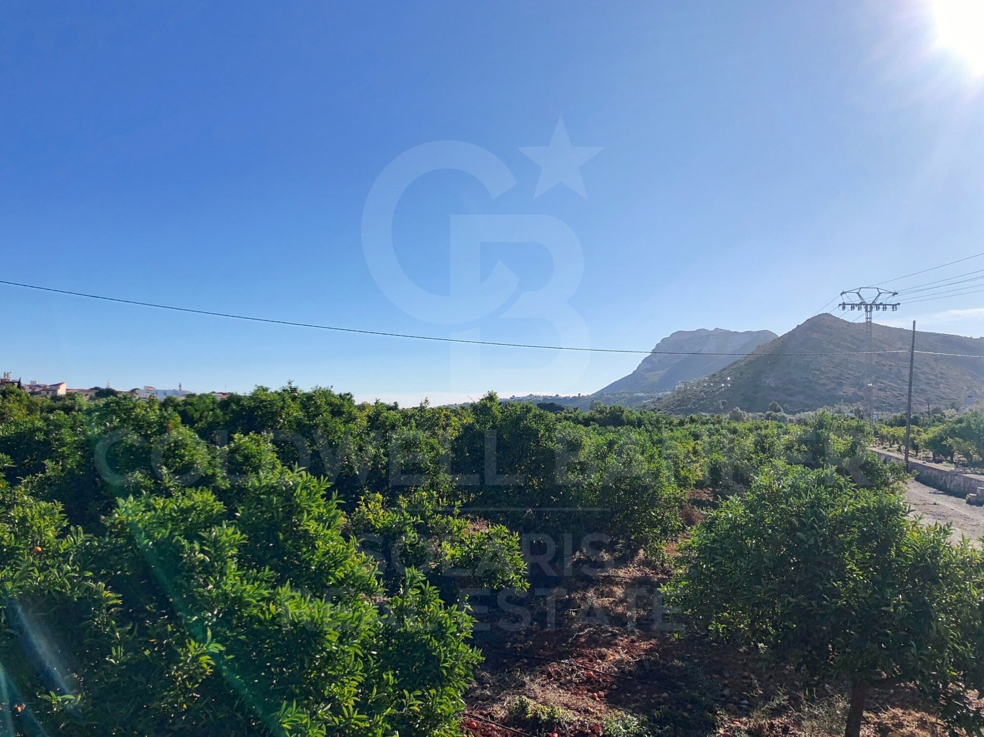 Conjunto de parcelas con pozo de gran caudal en La Xara / Jesús Pobre