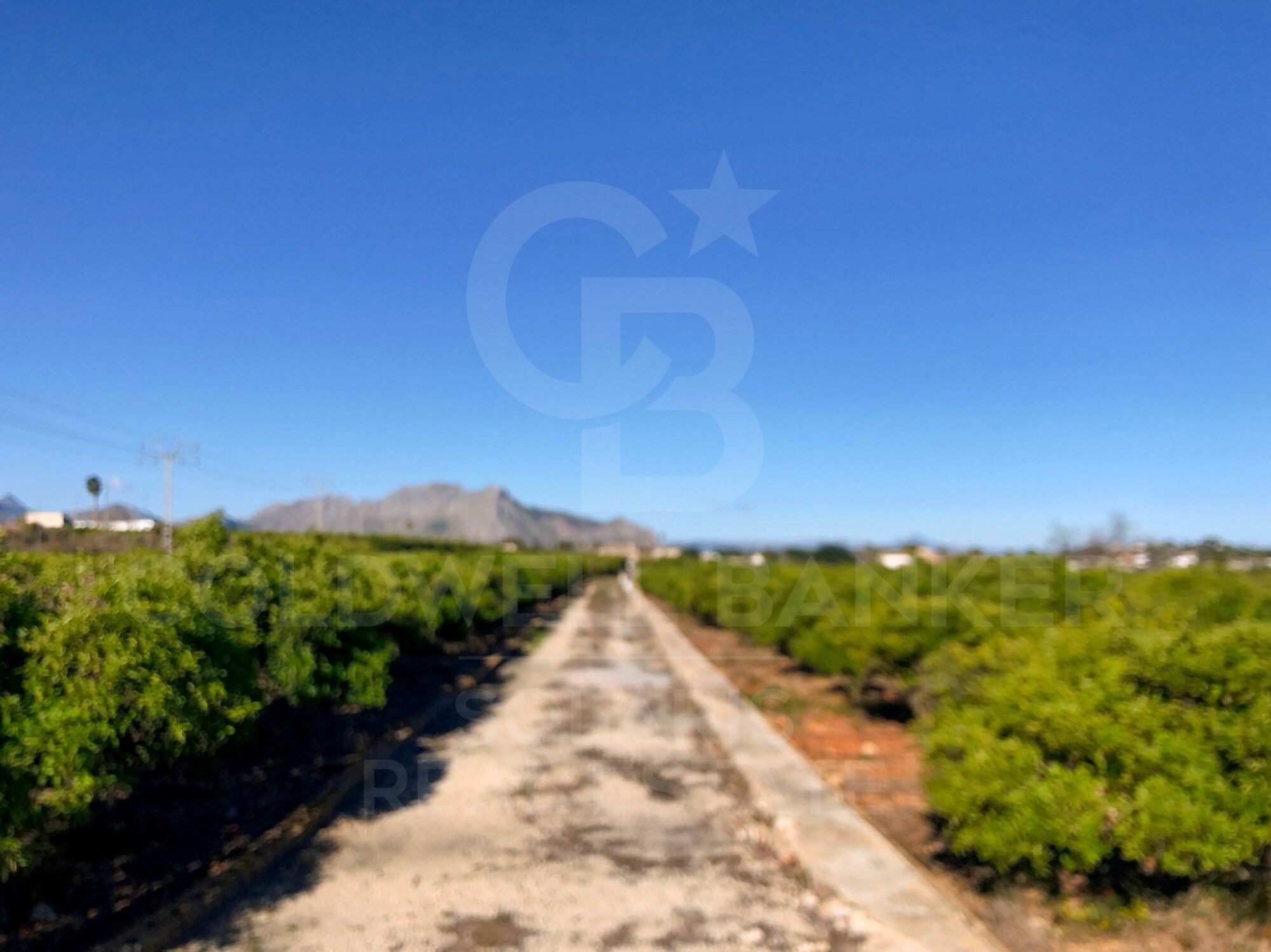 Completely flat building plot in La Xara