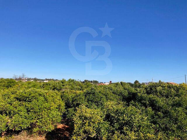 Completely flat building plot in La Xara