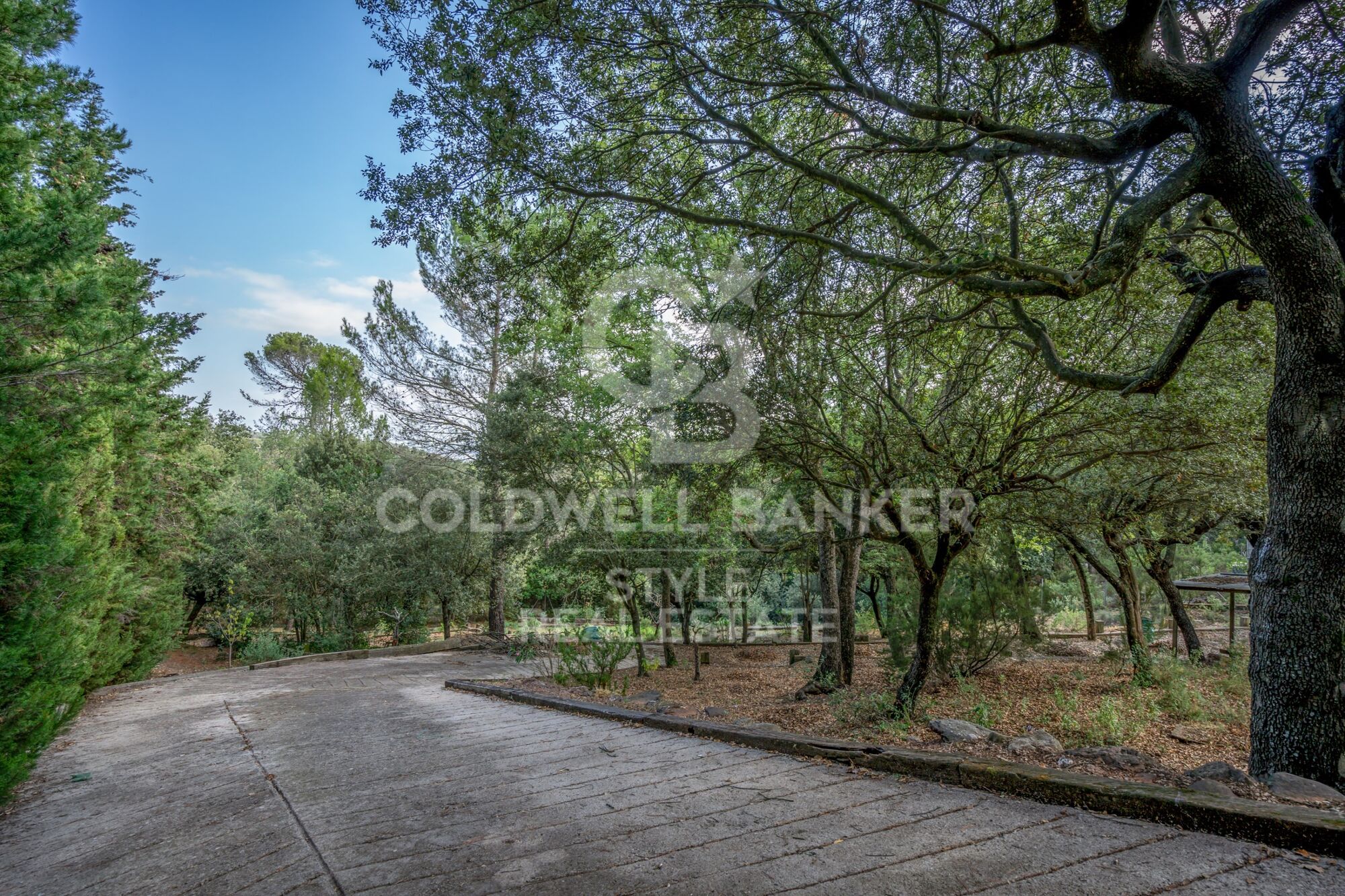 Beautiful rustic style finca