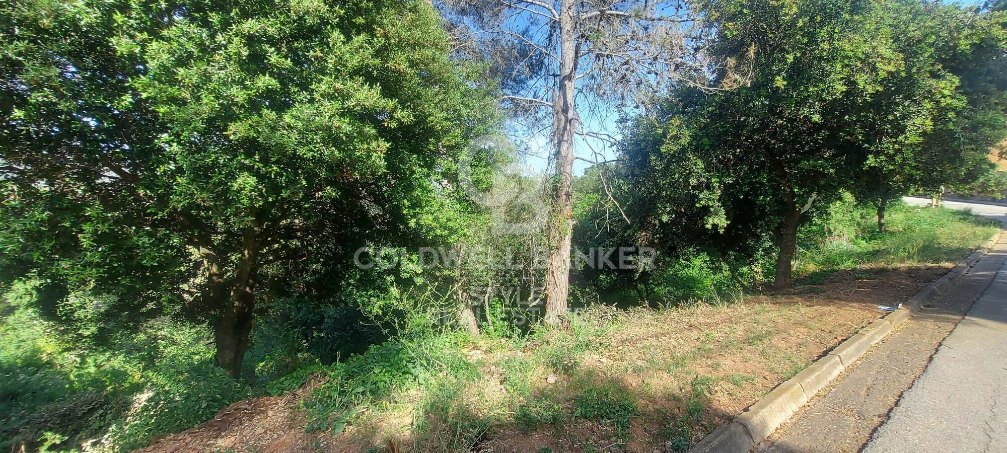 Land in the upper part of Les Pedritxes