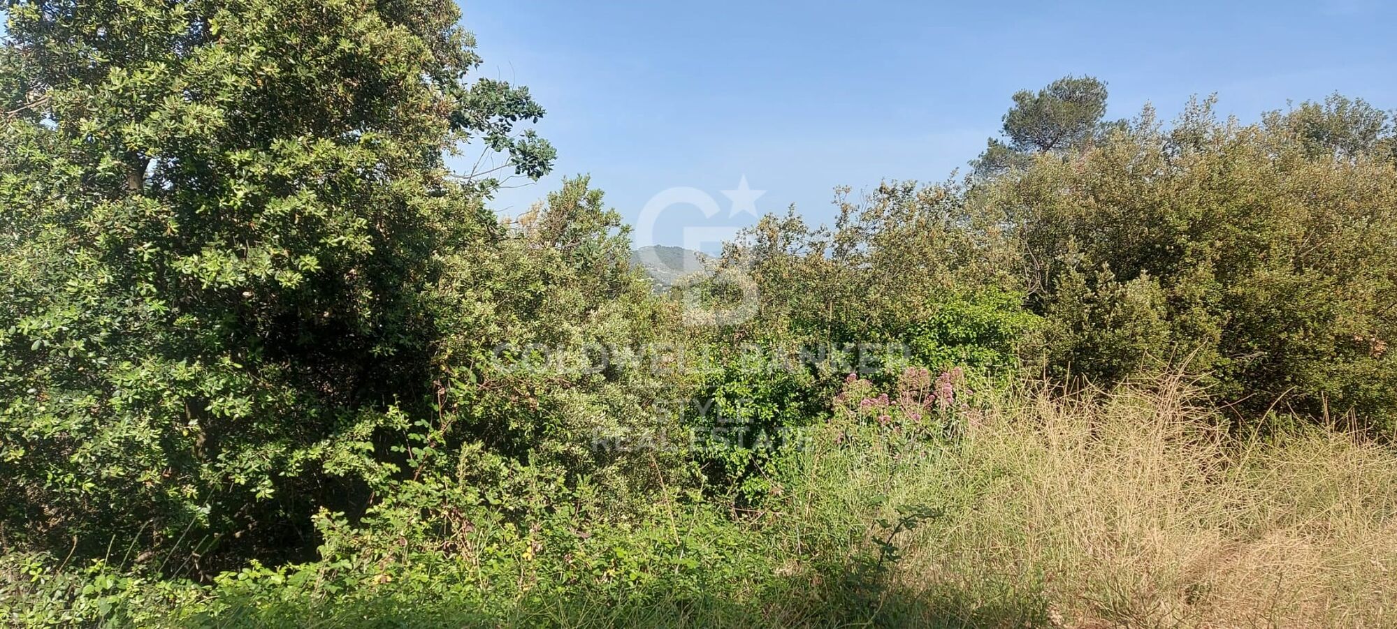 Land in Les Pedritxes with spectacular views