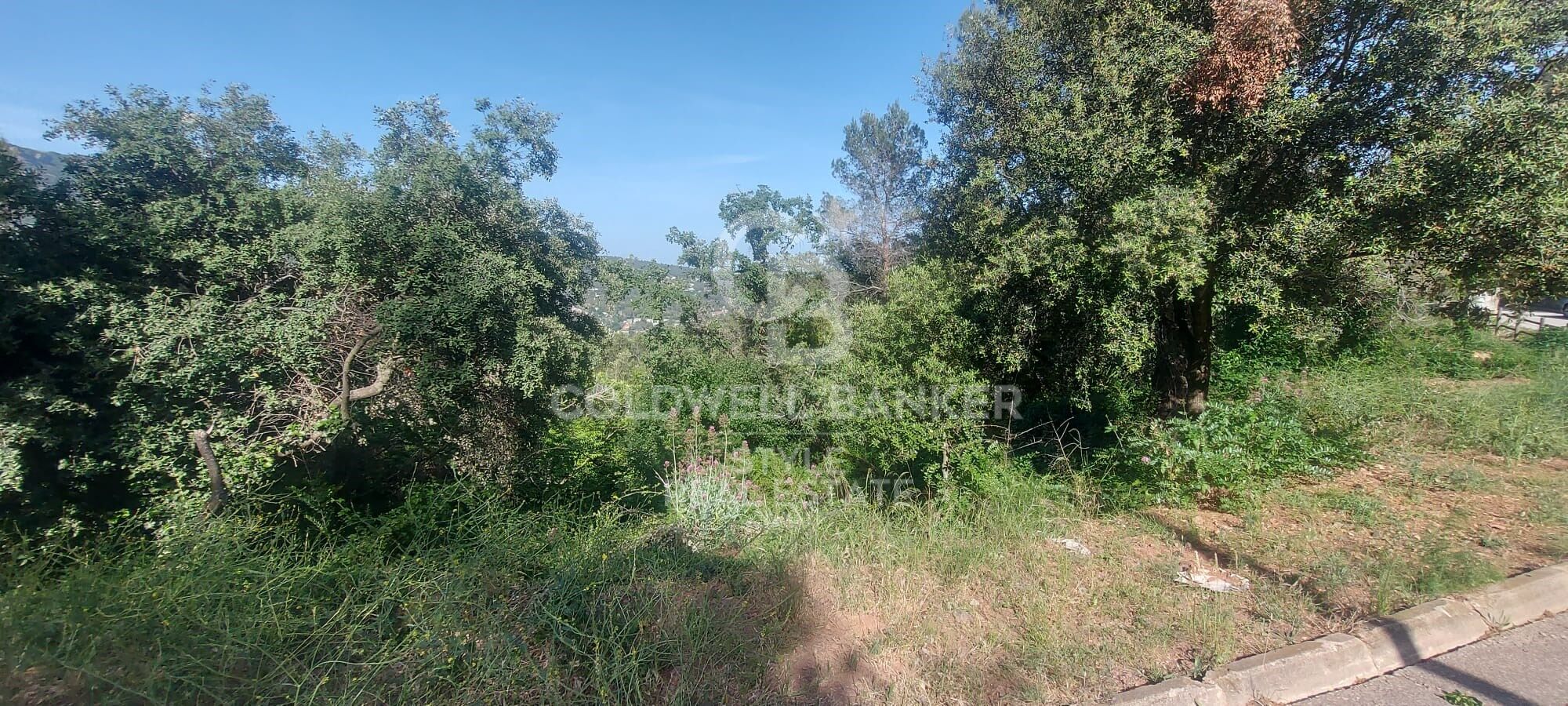 Land in Les Pedritxes with spectacular views