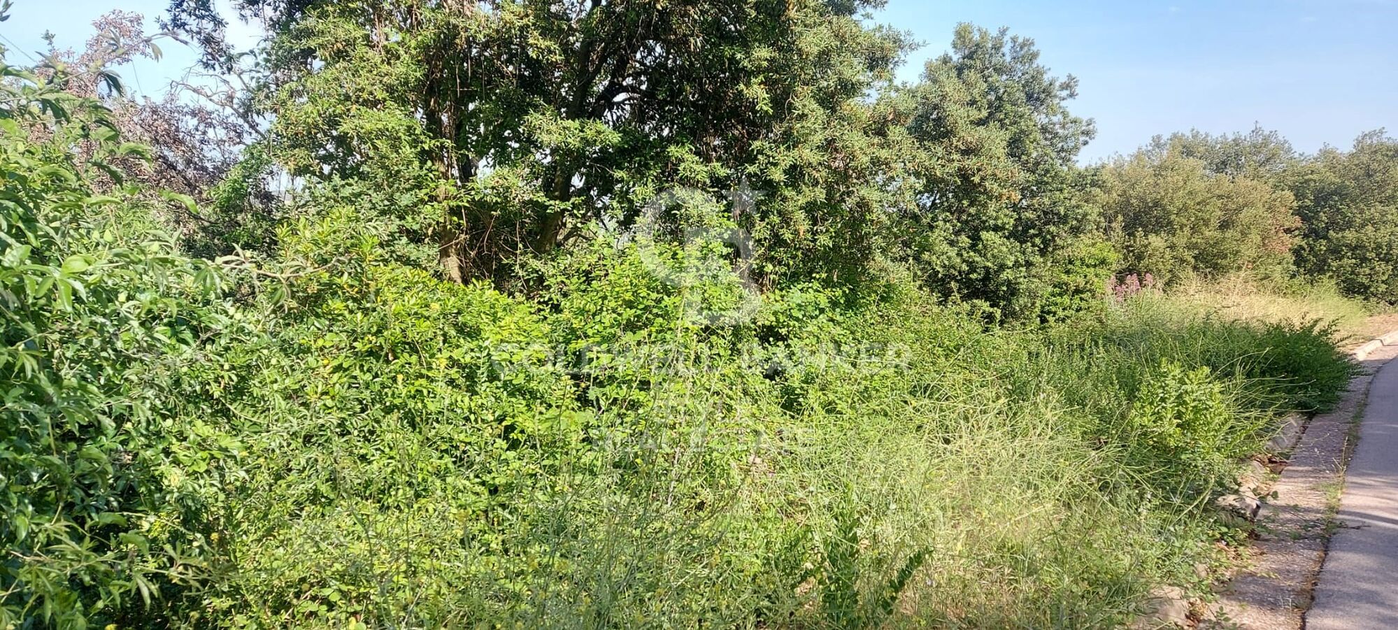 Land in Les Pedritxes with spectacular views