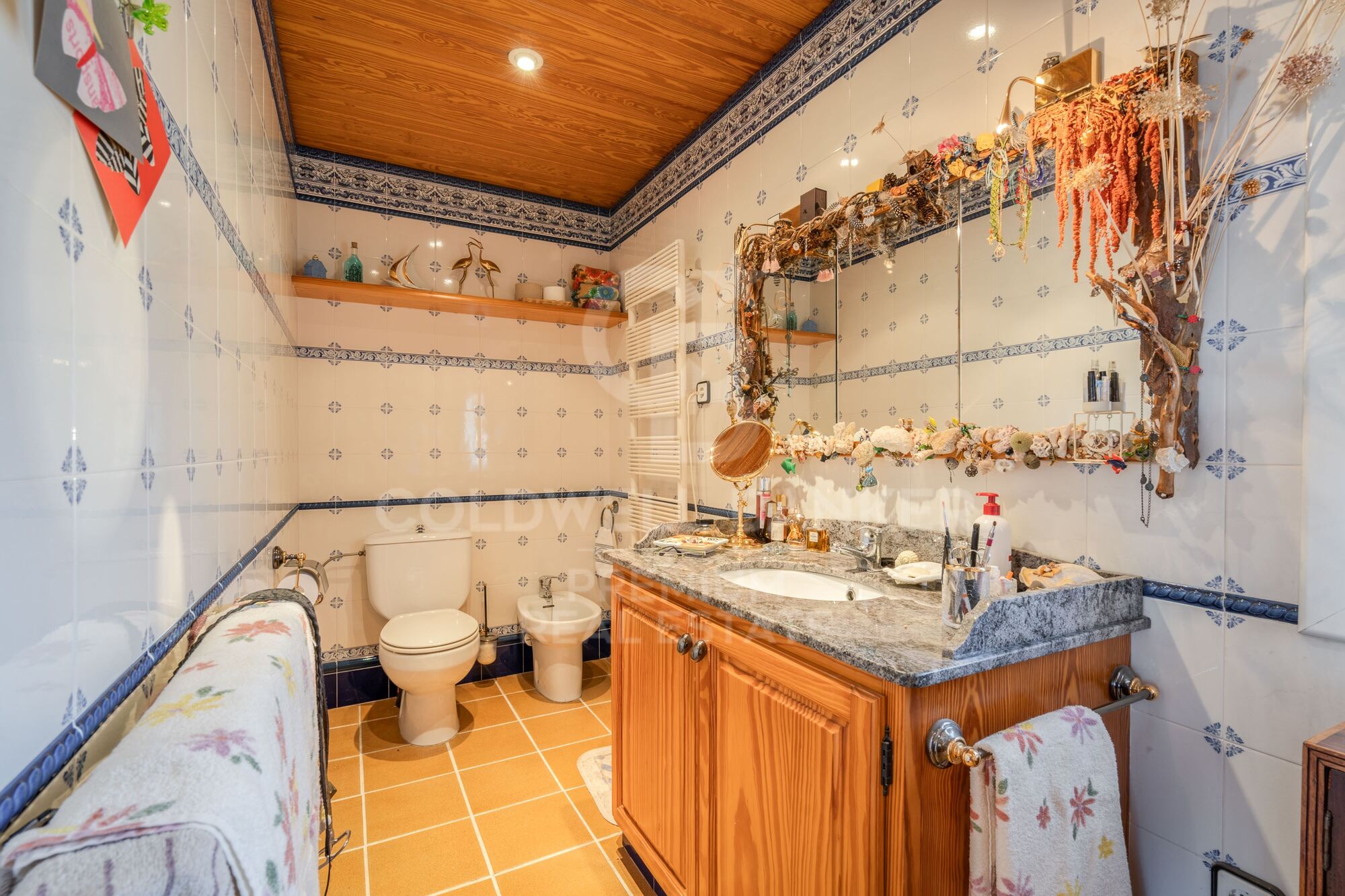 Espacio y Serenidad: Una Oportunidad Única en Can Mir - Castellnou