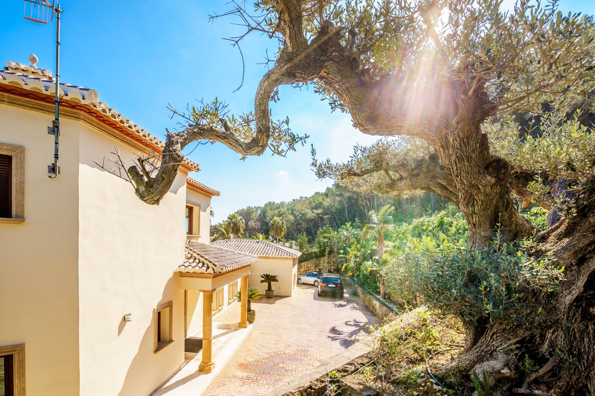 ORCHID HOUSE with incredible view