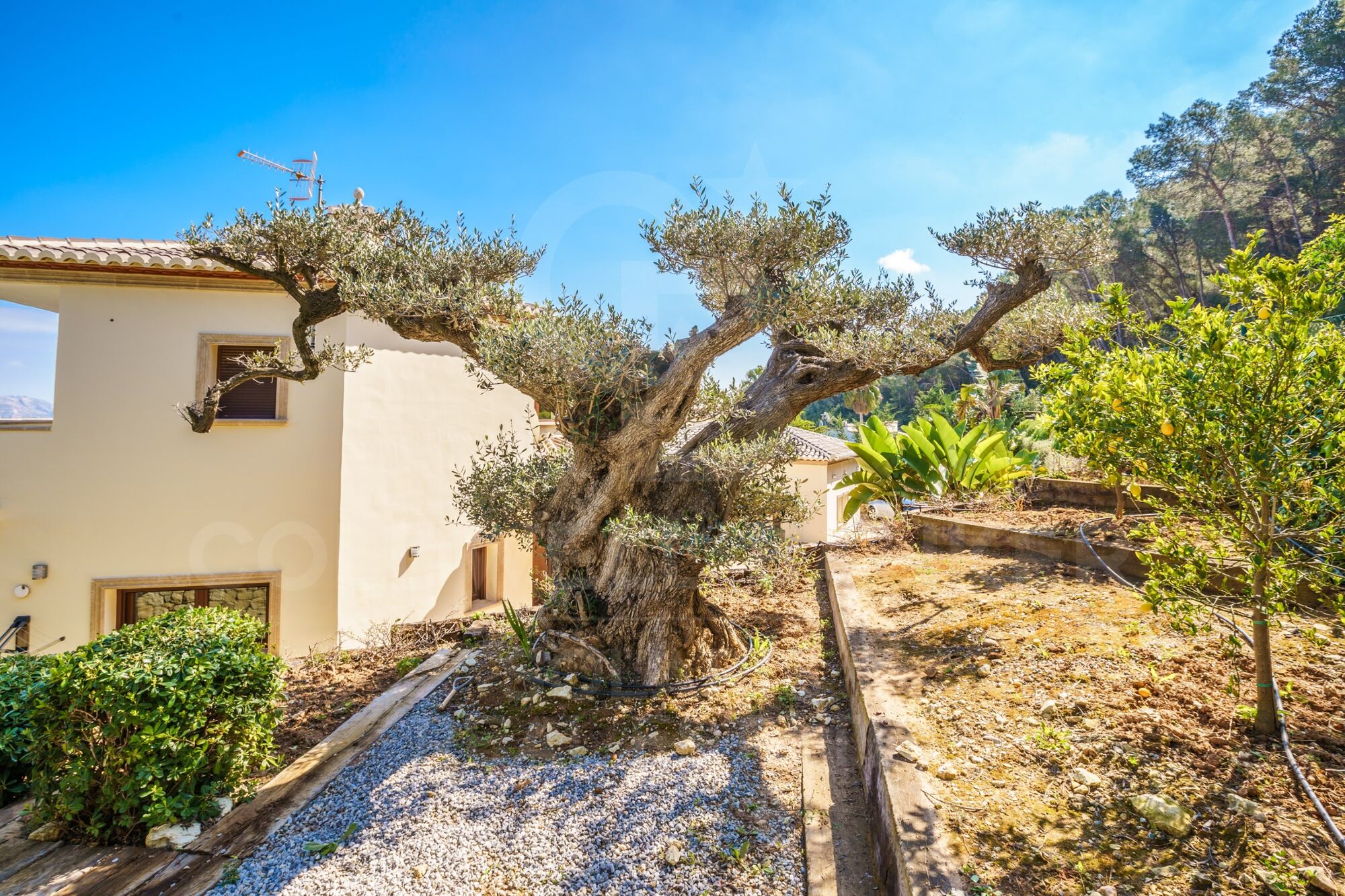 CASA ORQUÍDEA con increíbles vistas