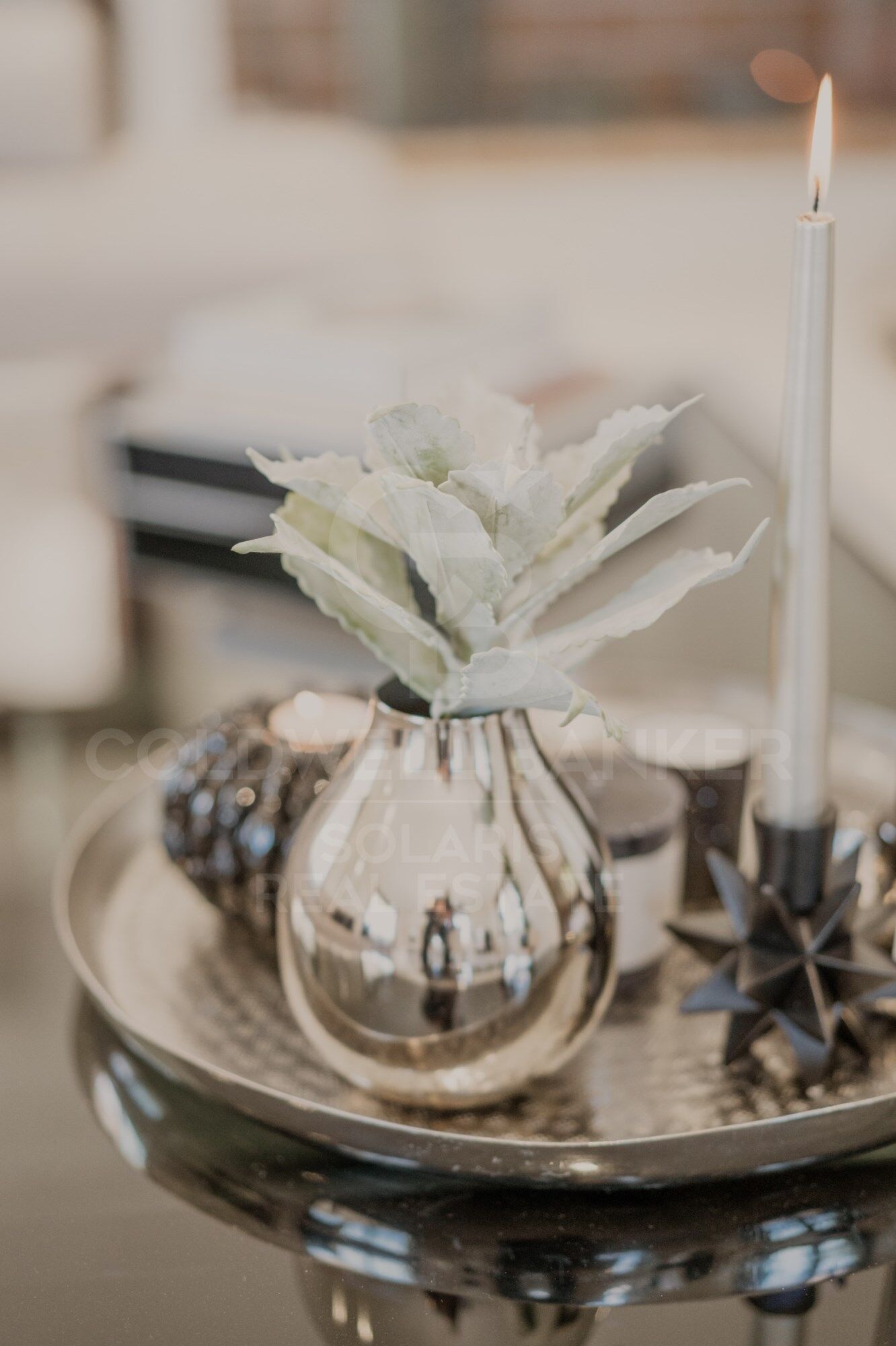 ORCHIDEENHAUS mit unglaublicher Aussicht