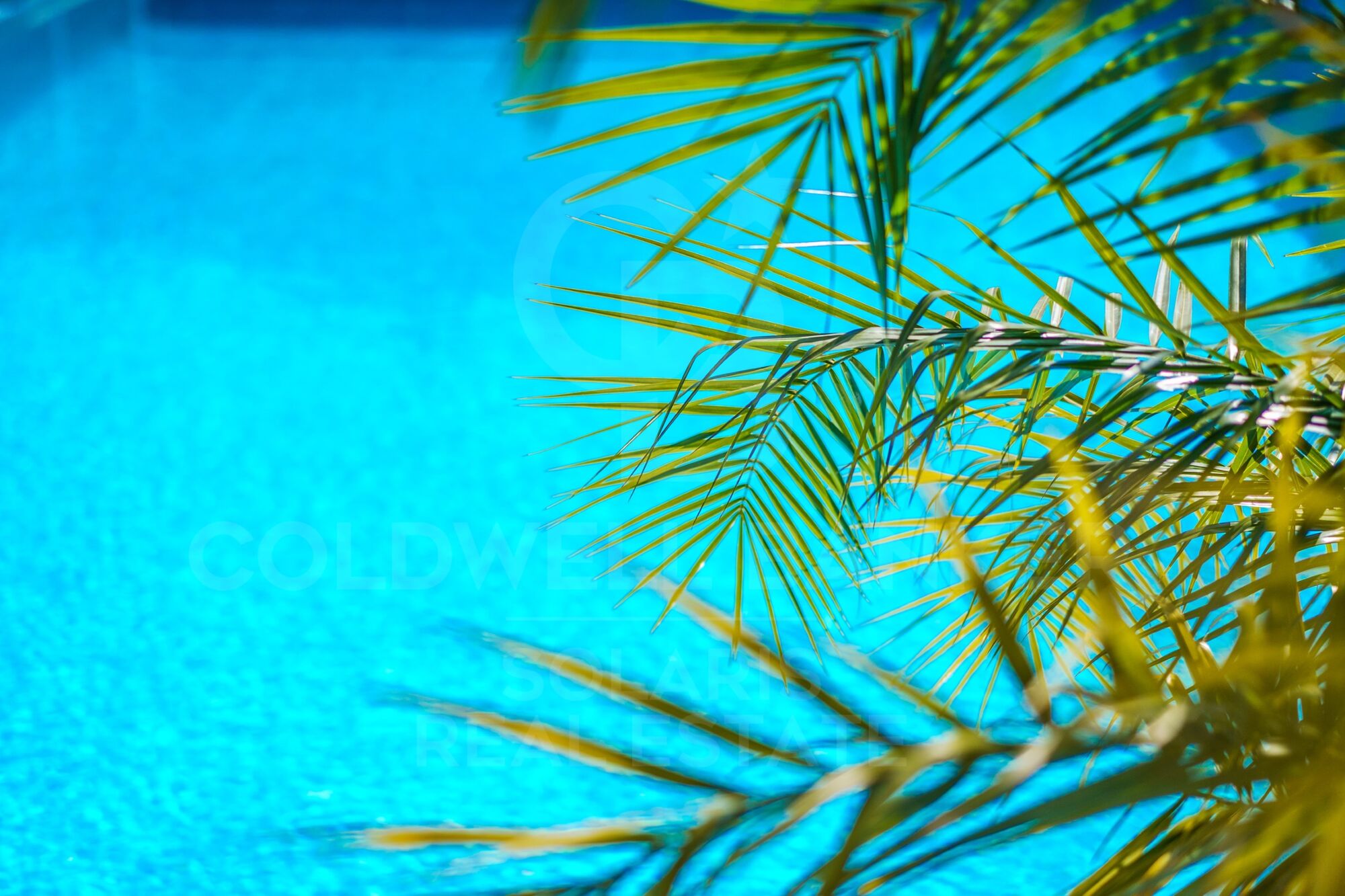 ORCHIDEENHAUS mit unglaublicher Aussicht