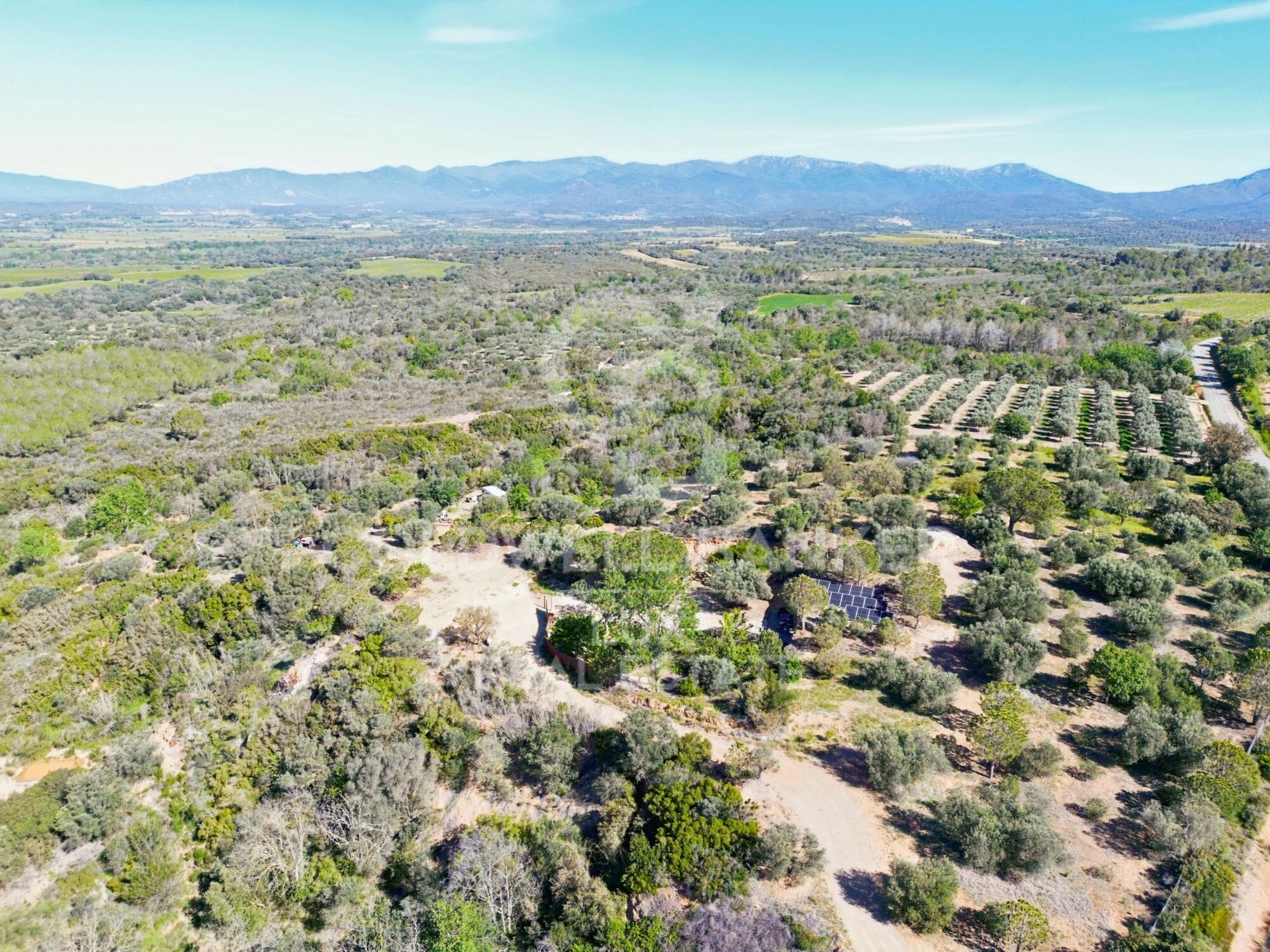 Second home with olive trees for sale in Peralada