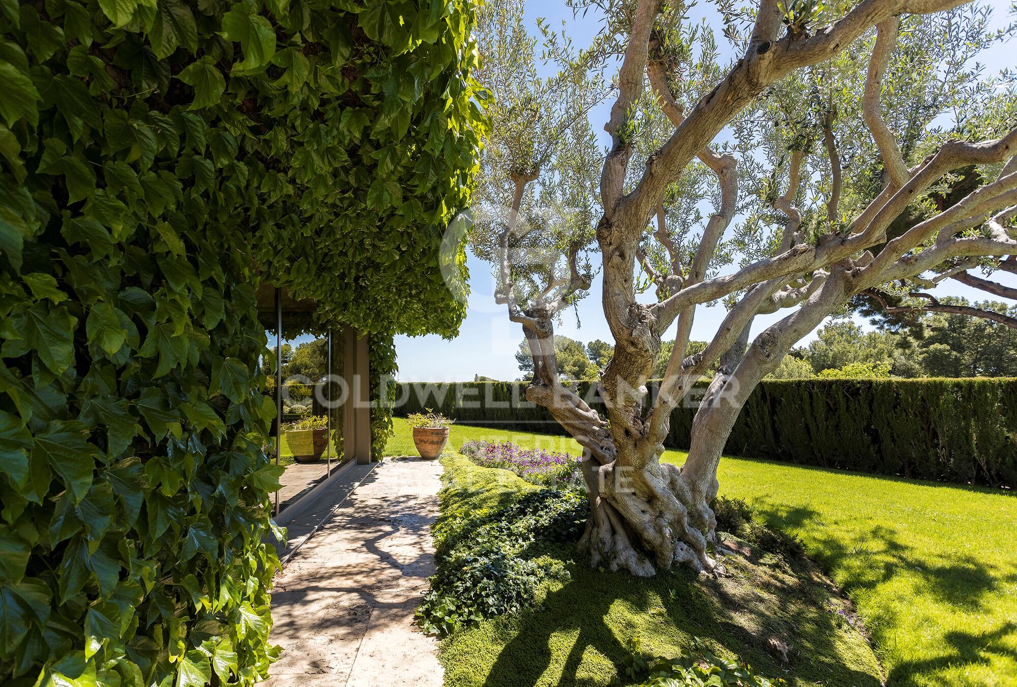 Wonderful villa with green areas in prestigious Pedralbes