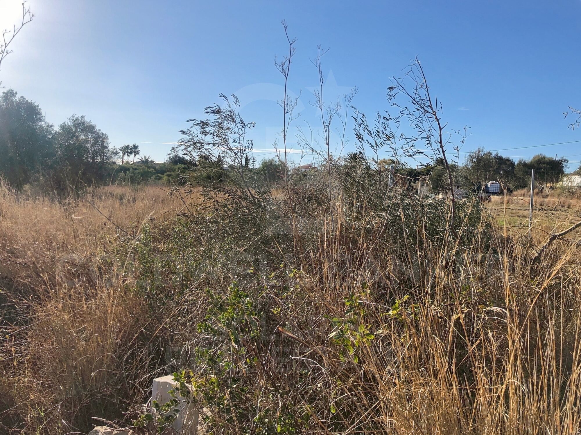 MIXED PLOT MONTGO VALLS