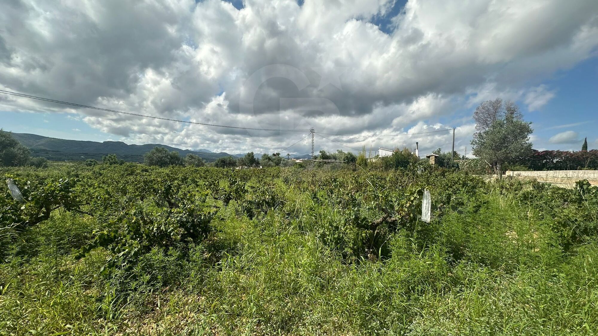 PARCELA MIXTA MONTGO VALLS