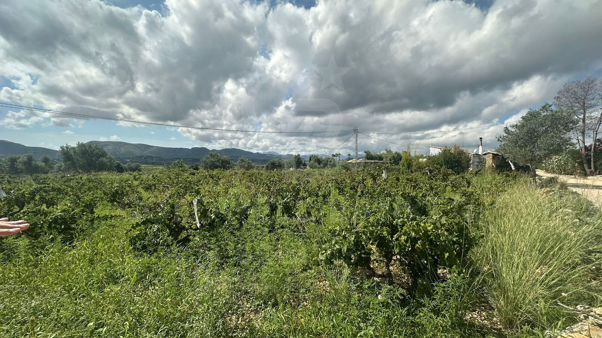 PARCELLE MIXTE MONTGO VALLS