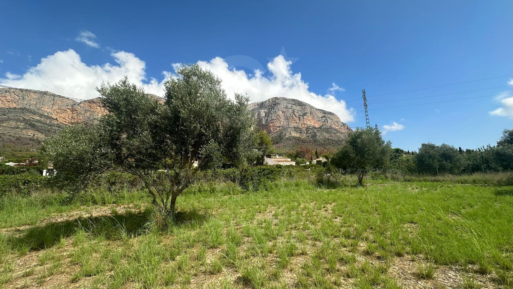 PARCELA MIXTA MONTGO VALLS