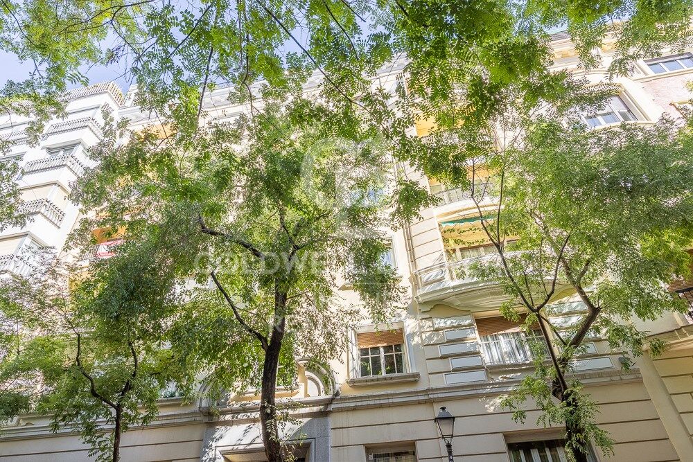 Renovated flat for sale with terrace in Barrio de Salamanca