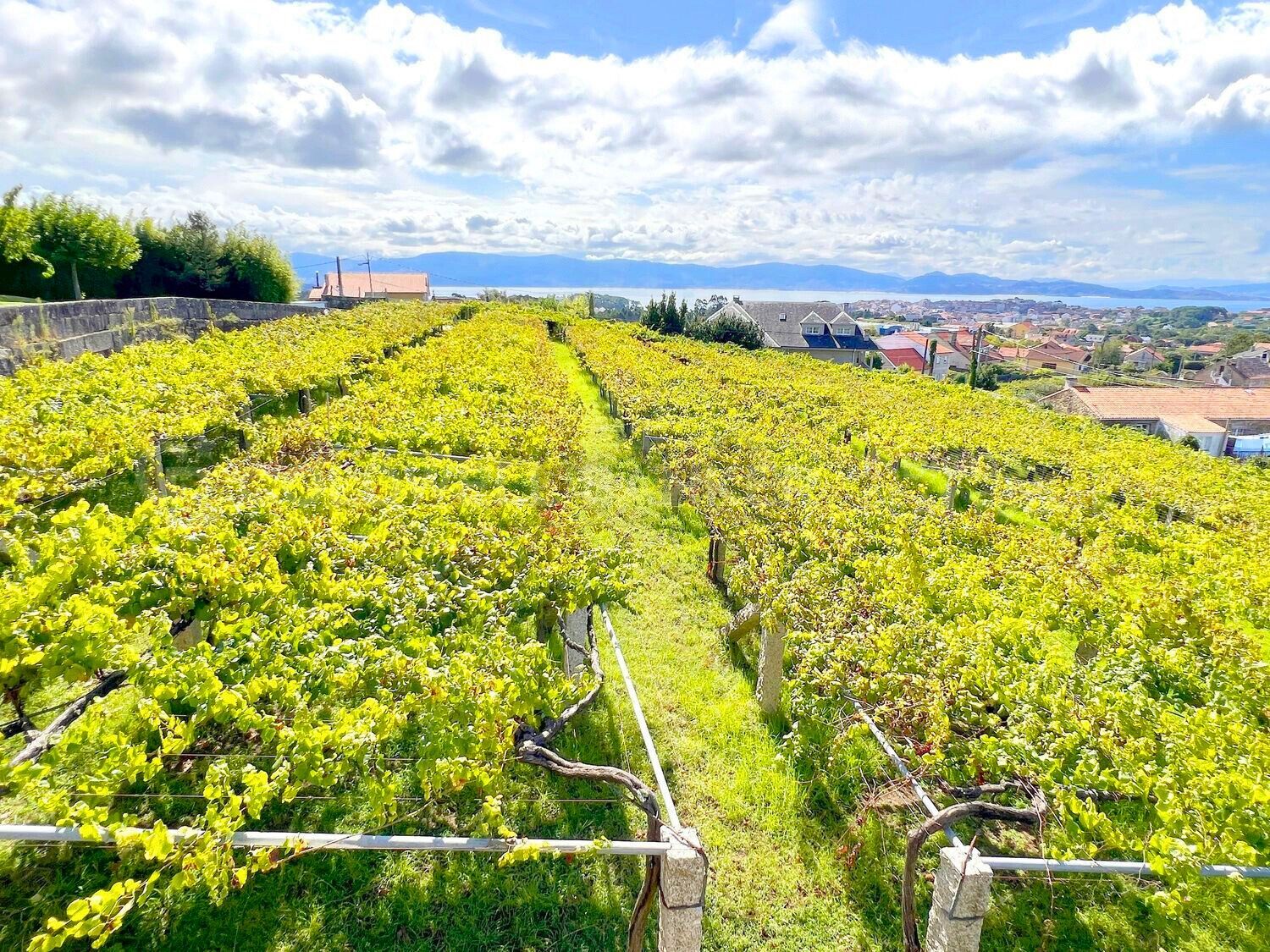 Espectacular Finca de Lujo en Sanxenxo: Viñedo Privado, Máxima Privacidad y Vistas a las Islas Ons